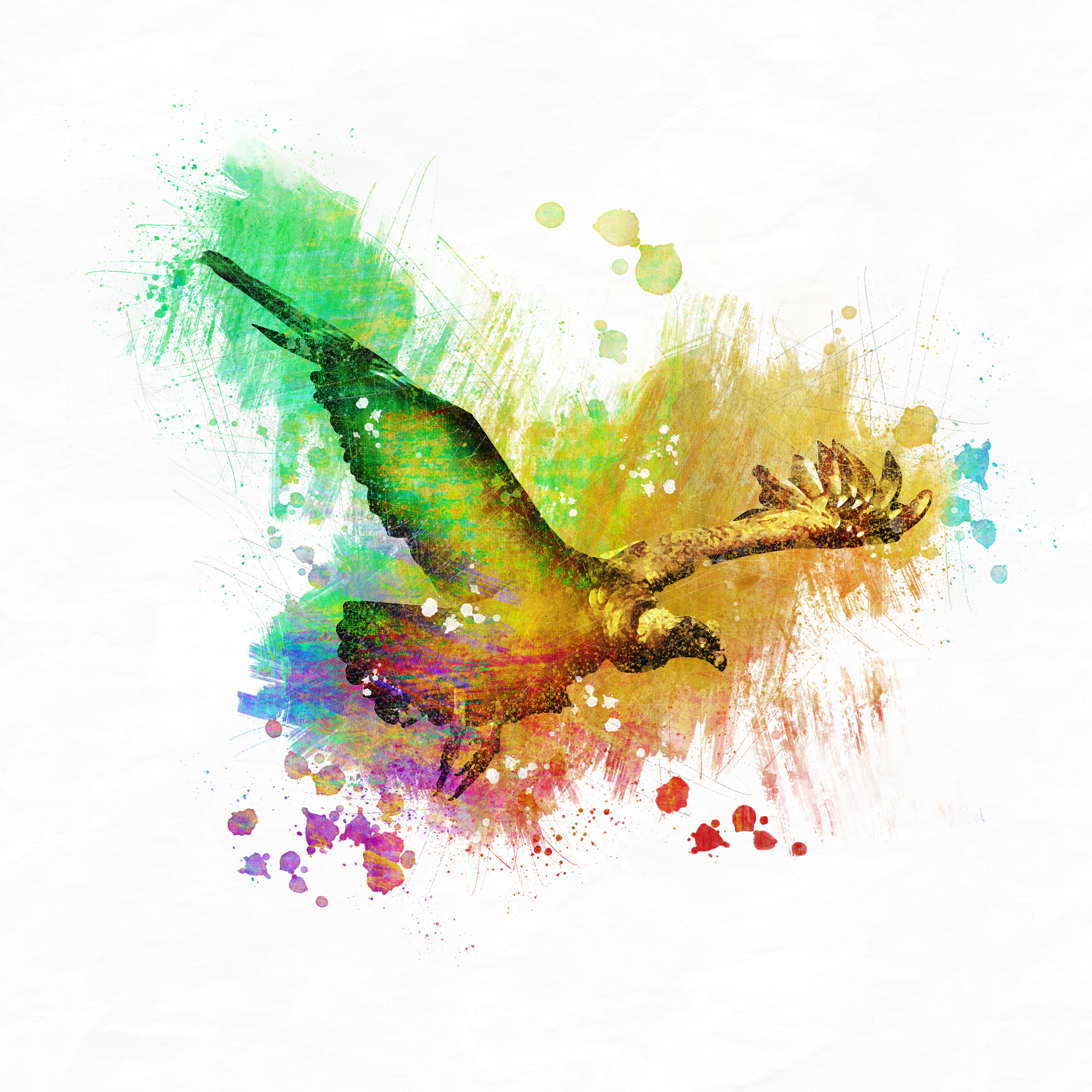 Kingfisher | Until I Loose My Mind