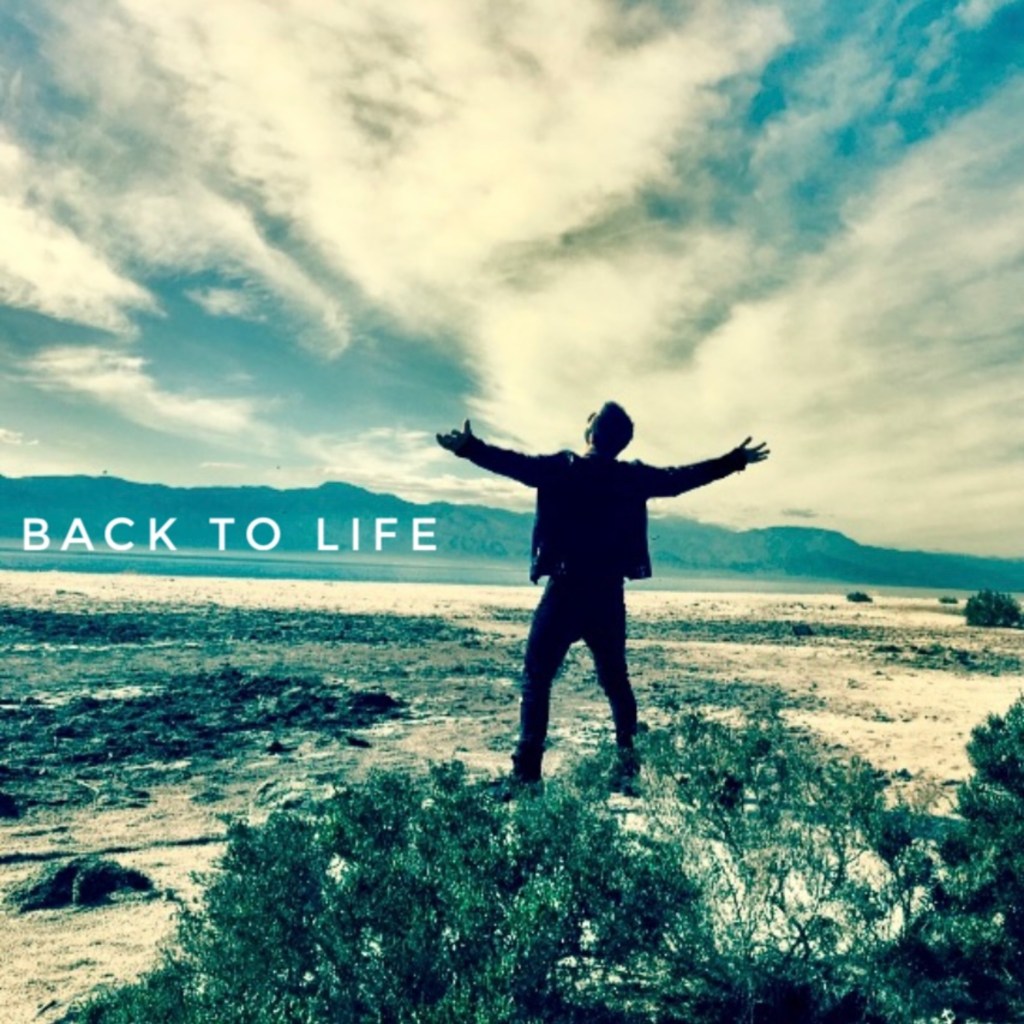 BAYWUD | Back To&nbsp;Life