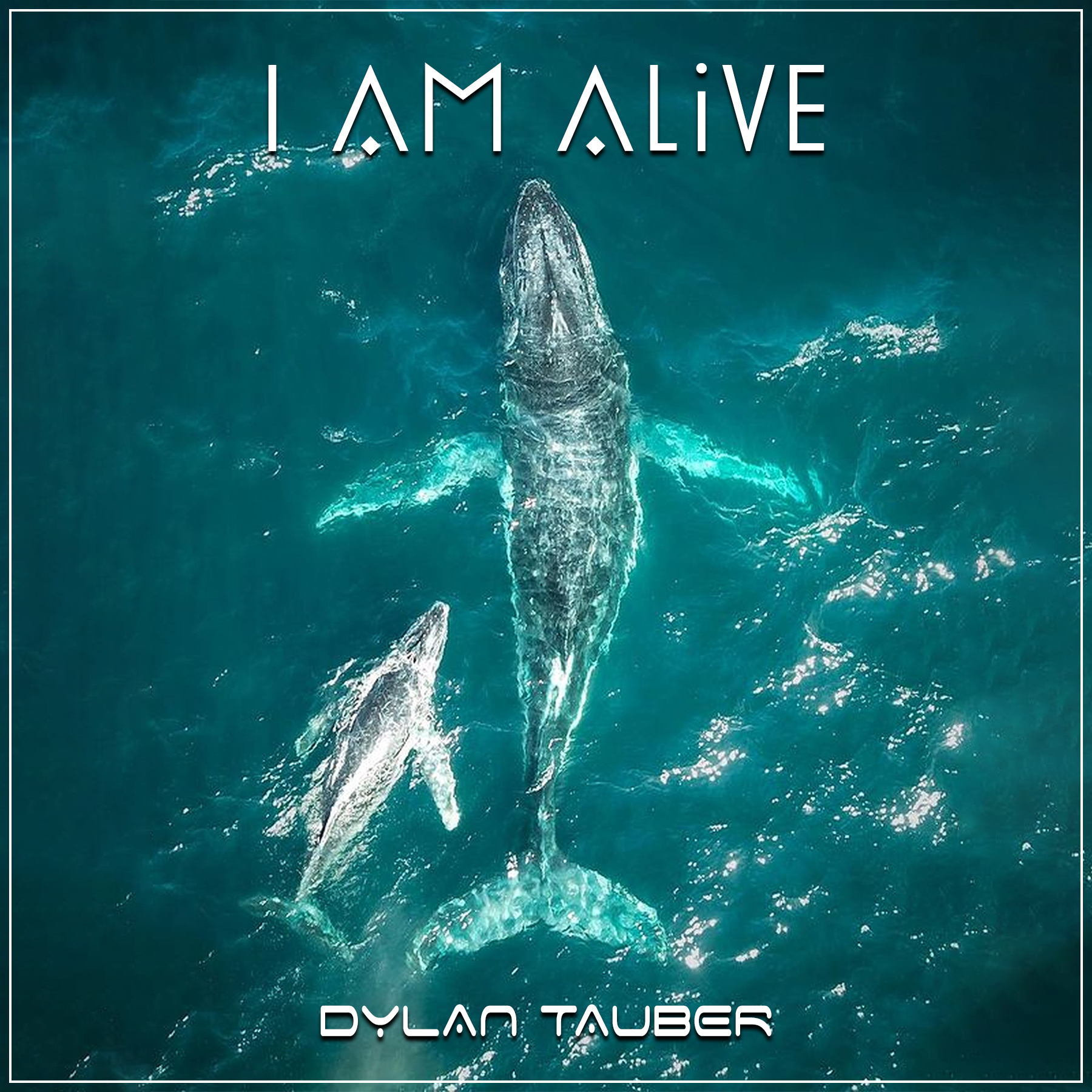 Dylan Tauber | Love and You Will Live