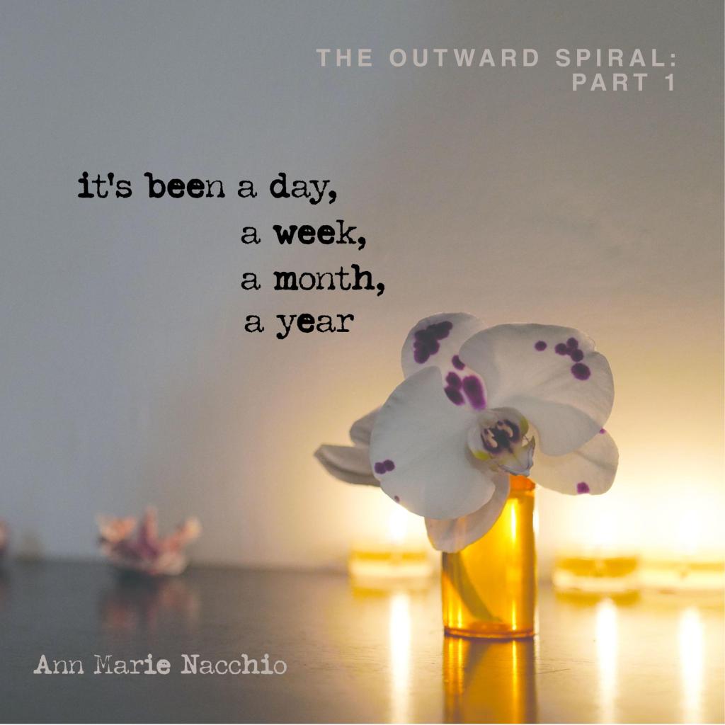 Ann Marie Nacchio | It’s been a day, a week, a month, a&nbsp;year