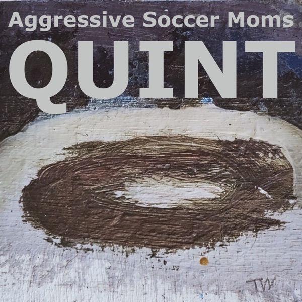 Aggressive Soccer Moms |&nbsp;Quint
