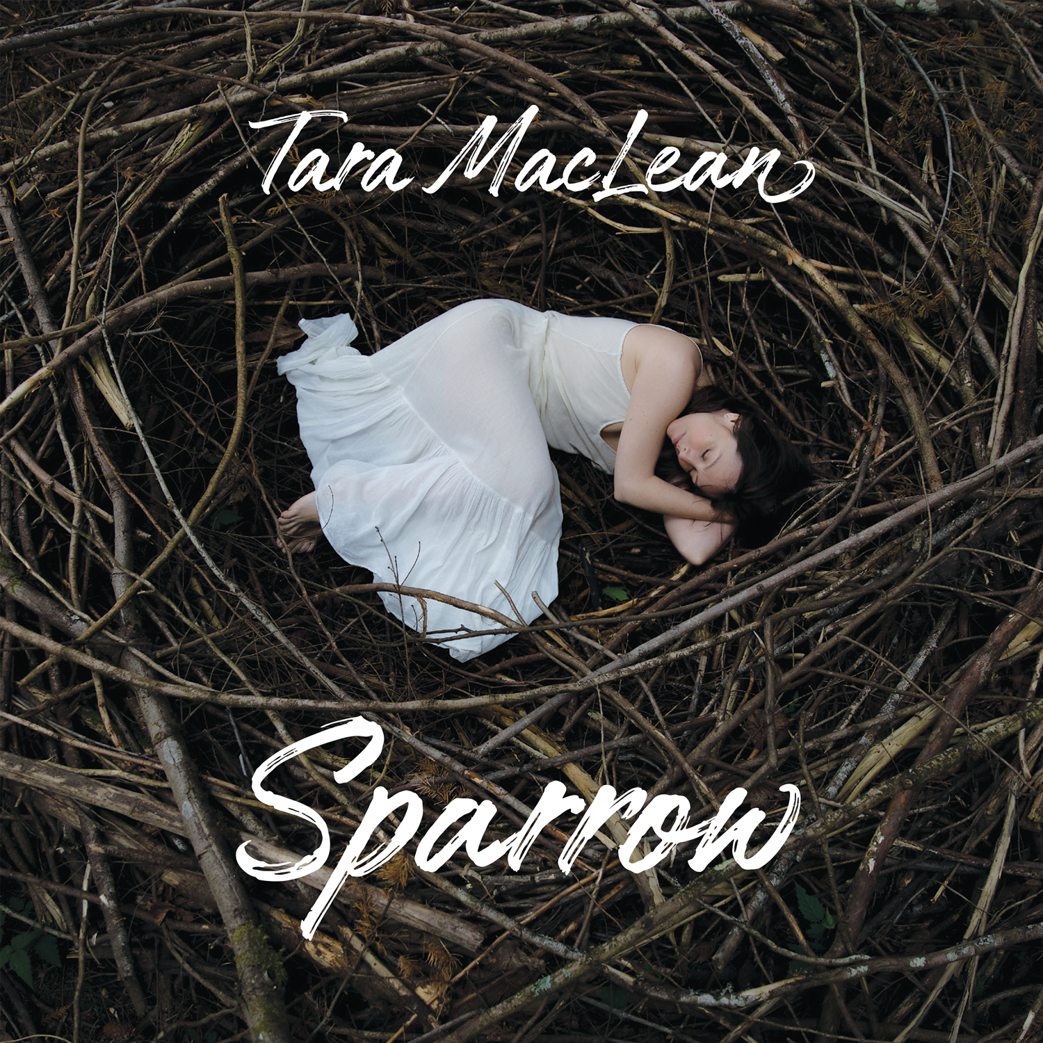 Tara MacLean’s Masterpiece, ‘Lay Here In The Dark’ Will Touch Your Soul