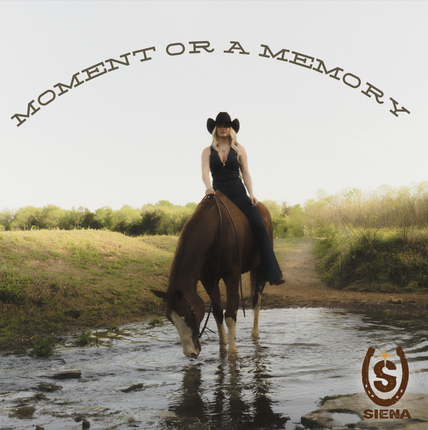 ‘Moment or a Memory’ by Siena: This mesmerising song will be etched in your memory.