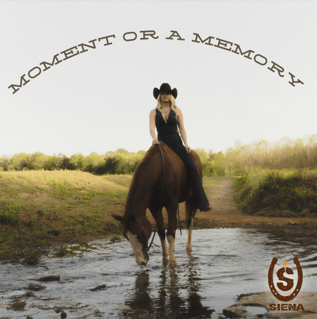 ‘Moment or a Memory’ by Siena: This mesmerising song will be etched in your memory.
