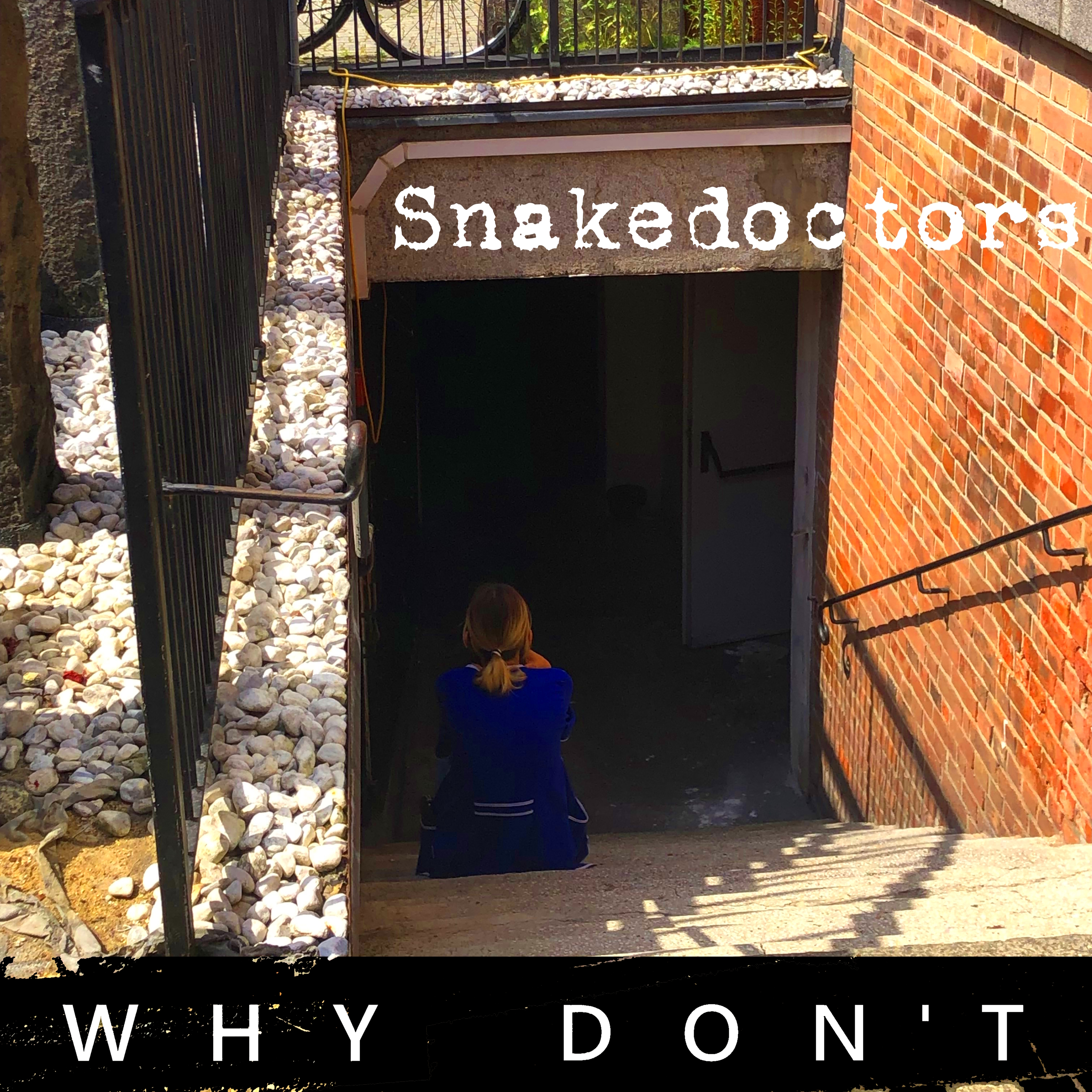 Snakedoctors’ Why Don’t: An enlivening dig into grunge beats.