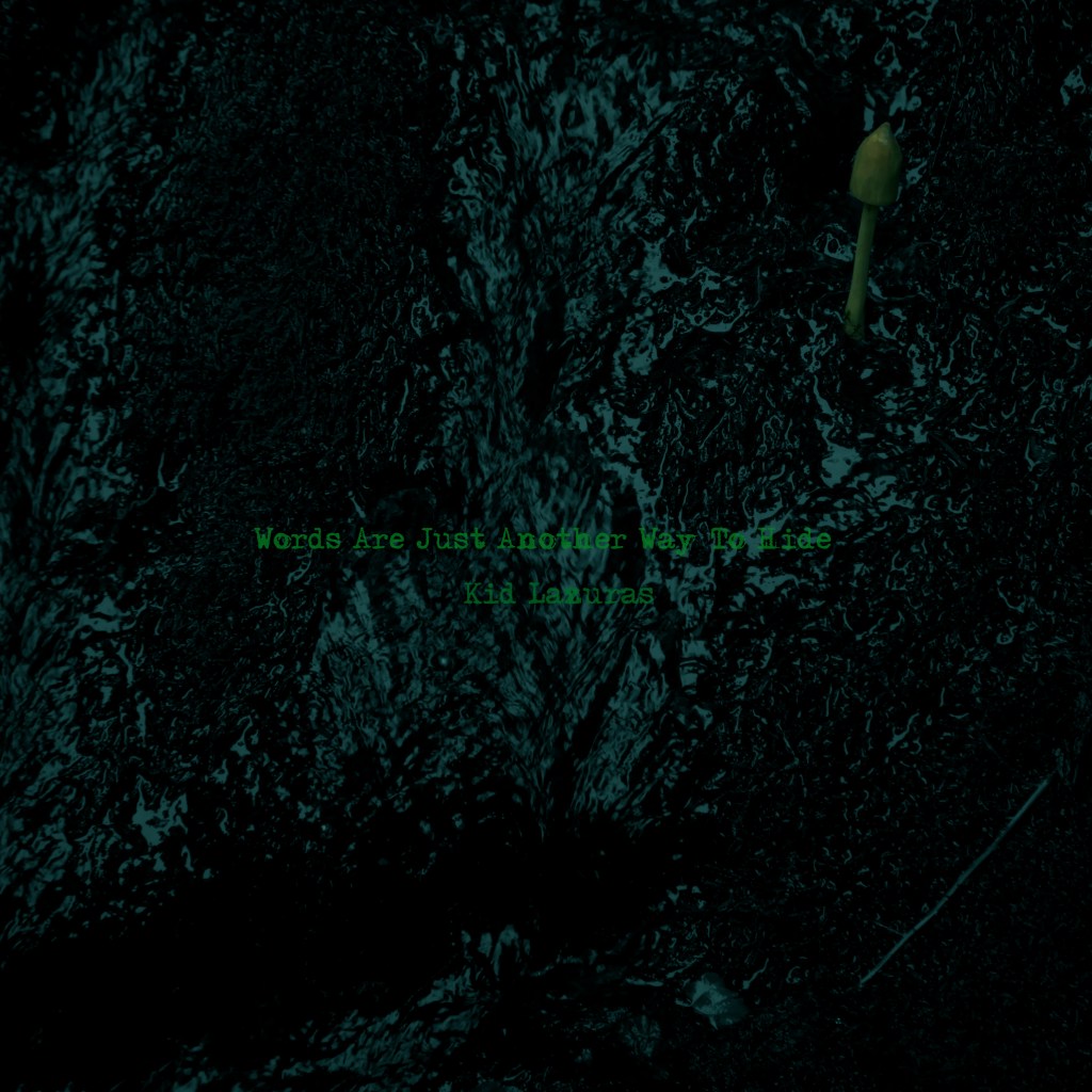 Words Are Just Another Way To Hide : Disappear into the  haunting melodies of Kid&nbsp;Lazuras.