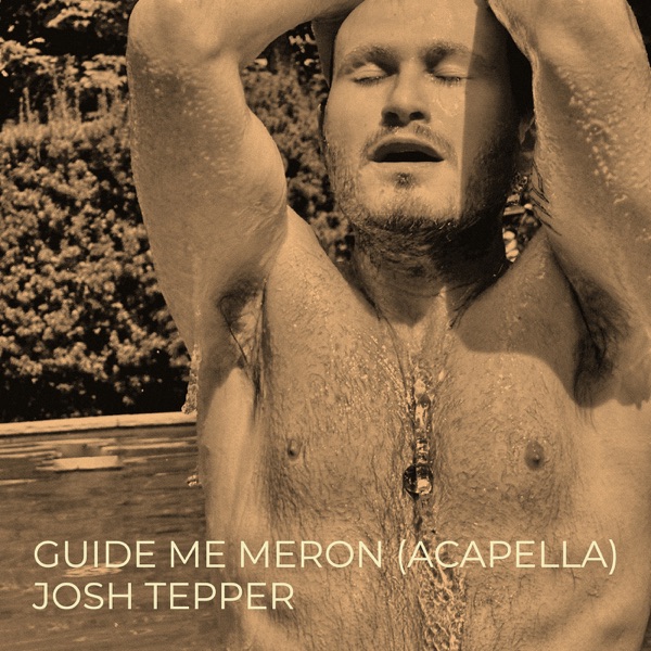 Guide Me Meron - Josh Tepper