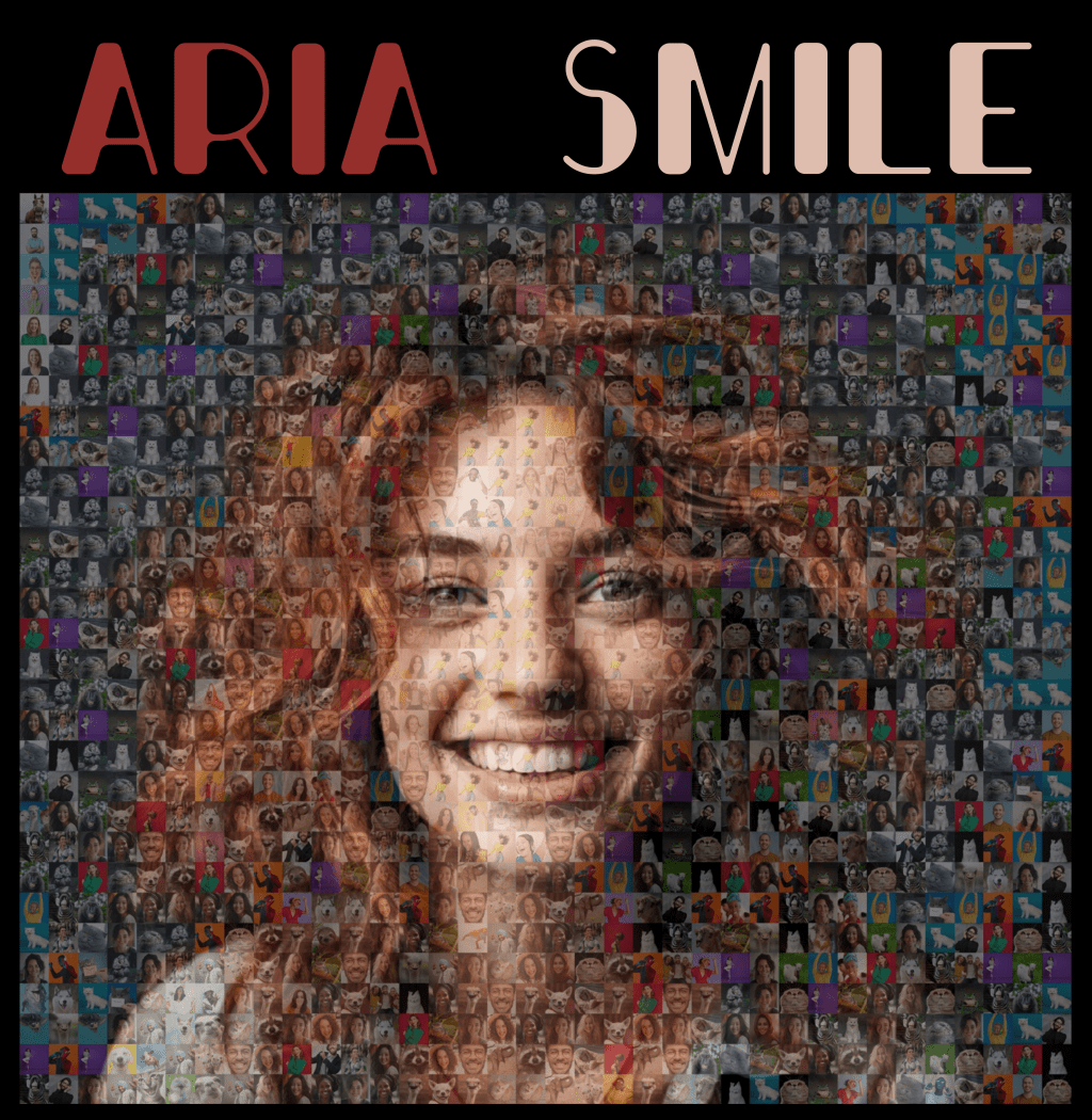 Aria’s ‘Smile’: An Ode to Resilience in the Face of Love’s&nbsp;Trials