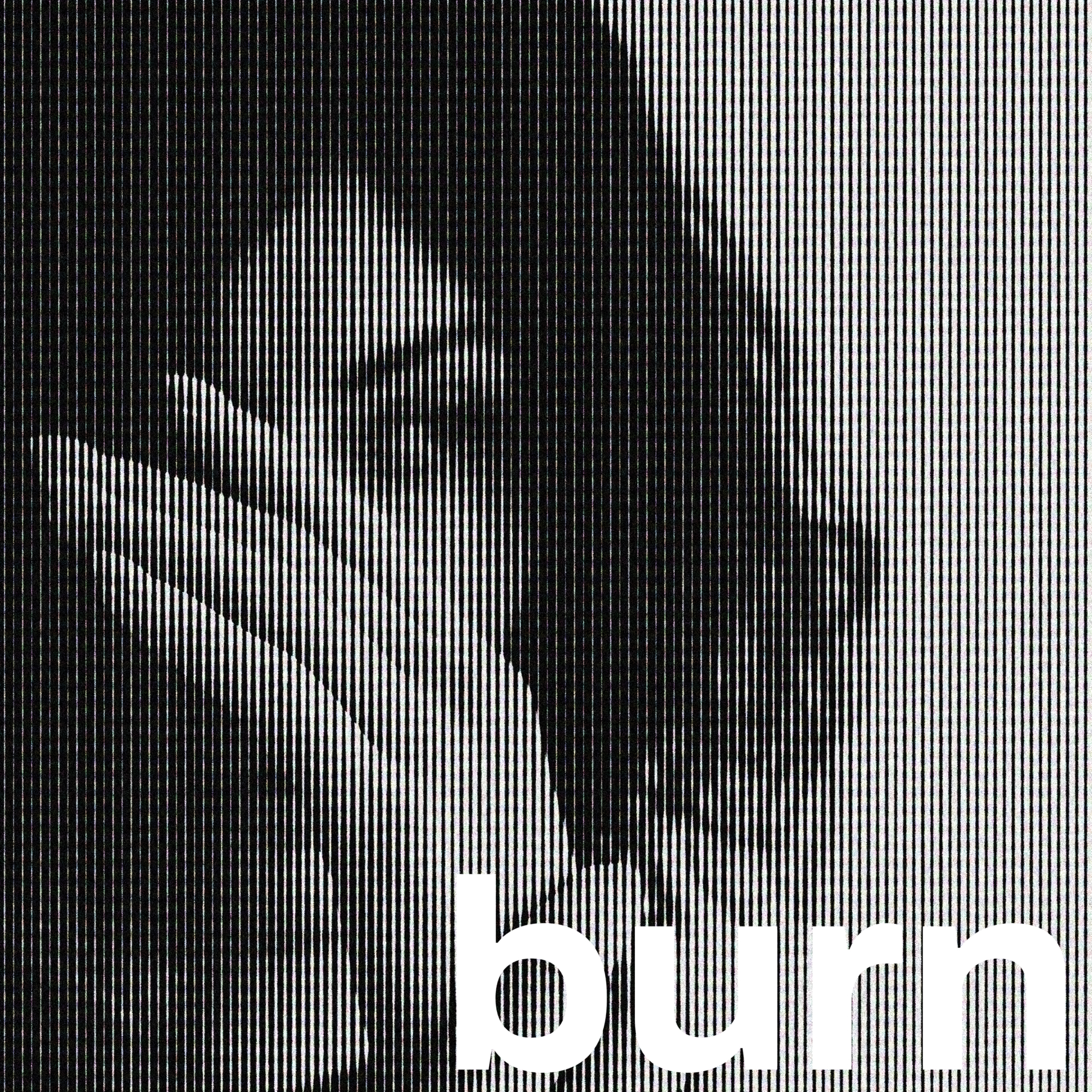 Raleÿell’s Burn: An anomalous blend of electronica and acoustics.