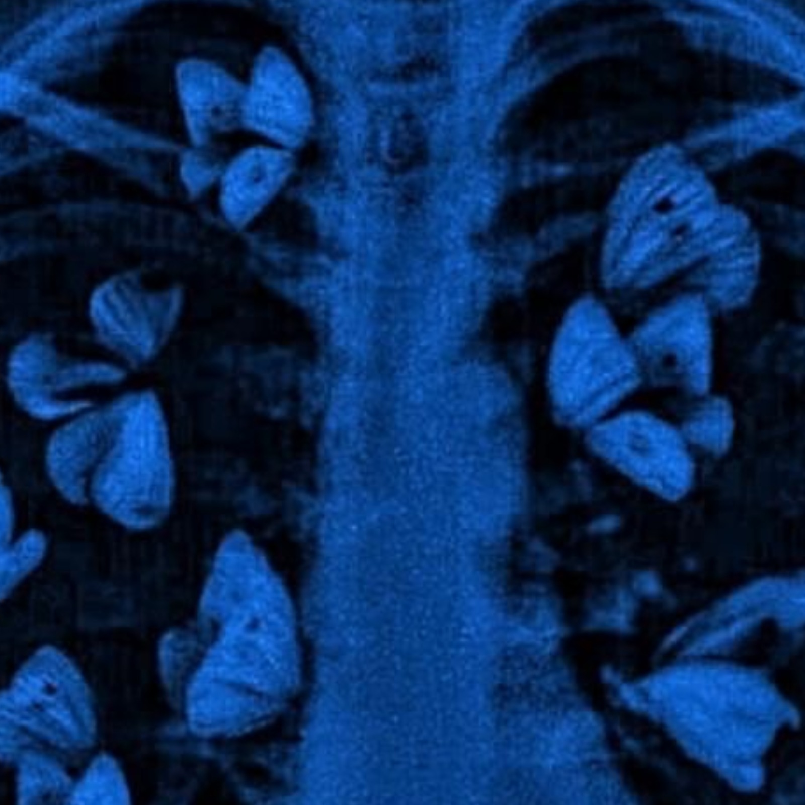 Maddy Suppez is mastering the “Art of Healing” with her new single