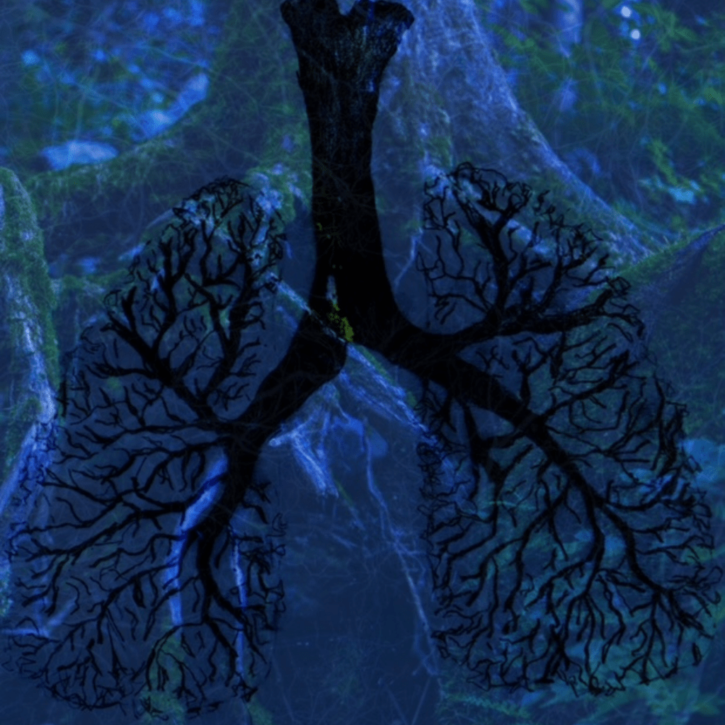 Embarking on an Ethereal Journey with Rosе Rutlеdgе’s ‘Inhalе’