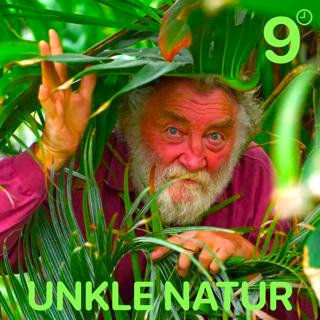 Reviving the Nasty spirit through exploring the vivid soundscape of ‘Unkle&nbsp;Natur’