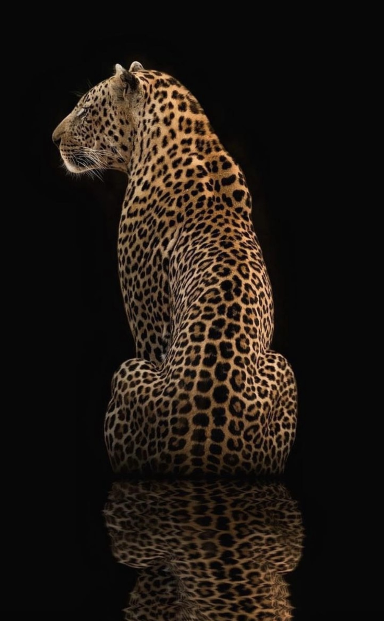 Proklaim’s track, ‘Alive’ Will Make you Forget Your Sorrows and Make you Dance!