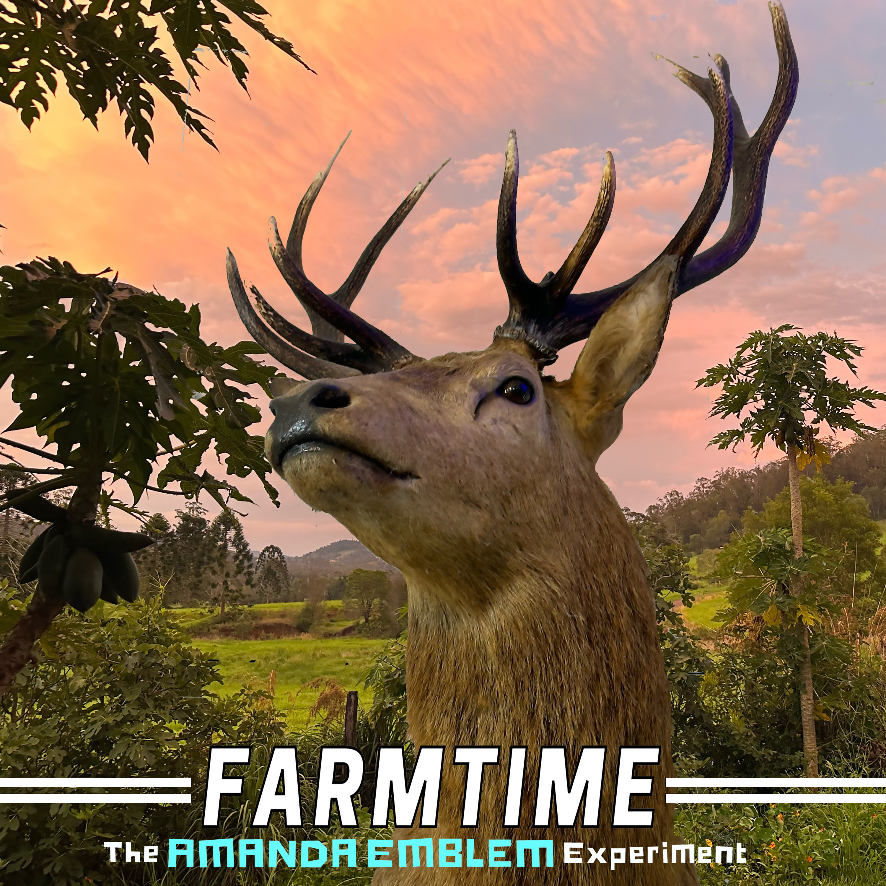 Cover Art of The Album Farmtime by The Amanda Emblem Experiment