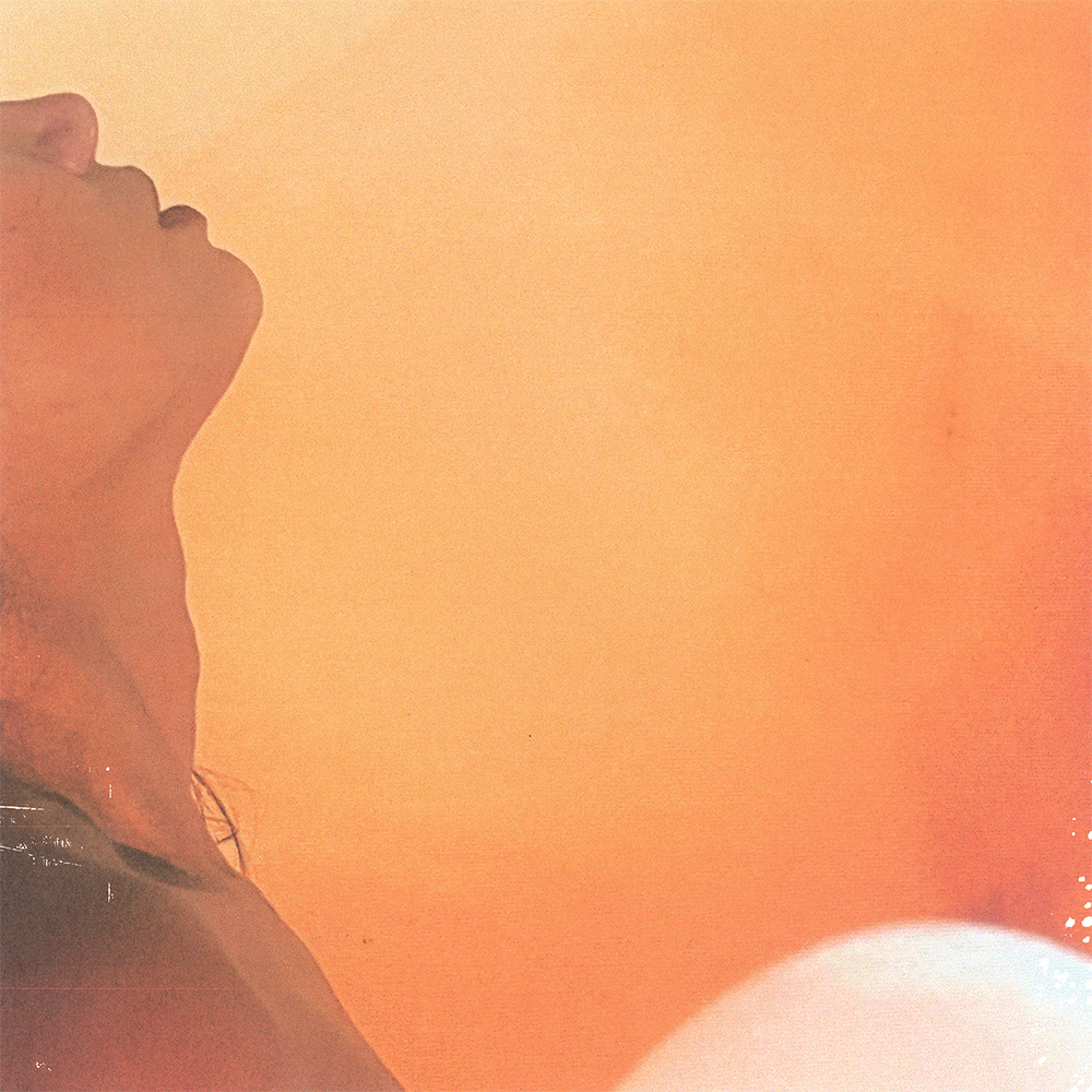 Lost in reverie, found in music: Trash Pals’ new single “Perfect Dream”