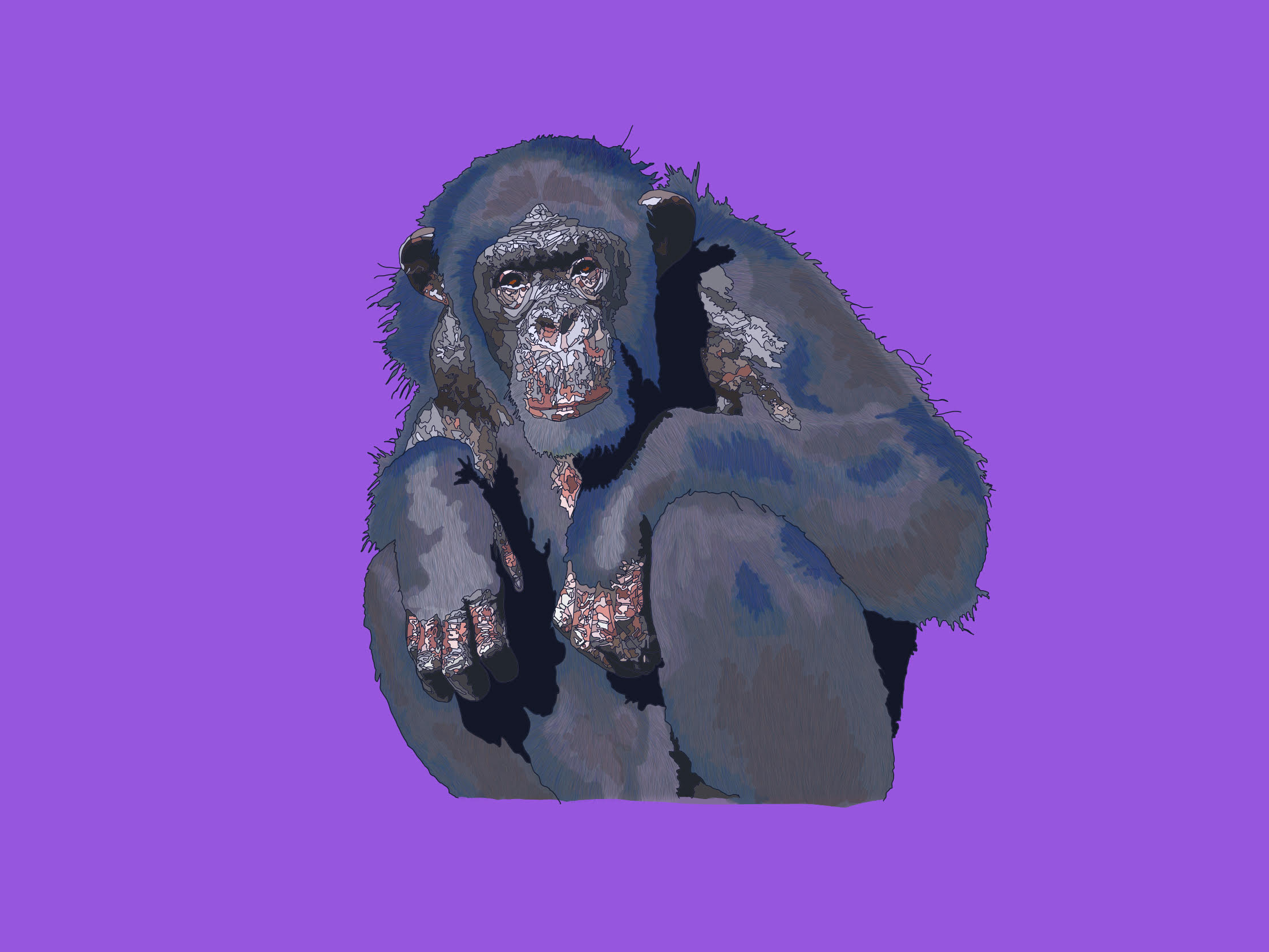 Where artistry and conscience meet: My Friend The Chimpanzee’s recent album “2Paradise”