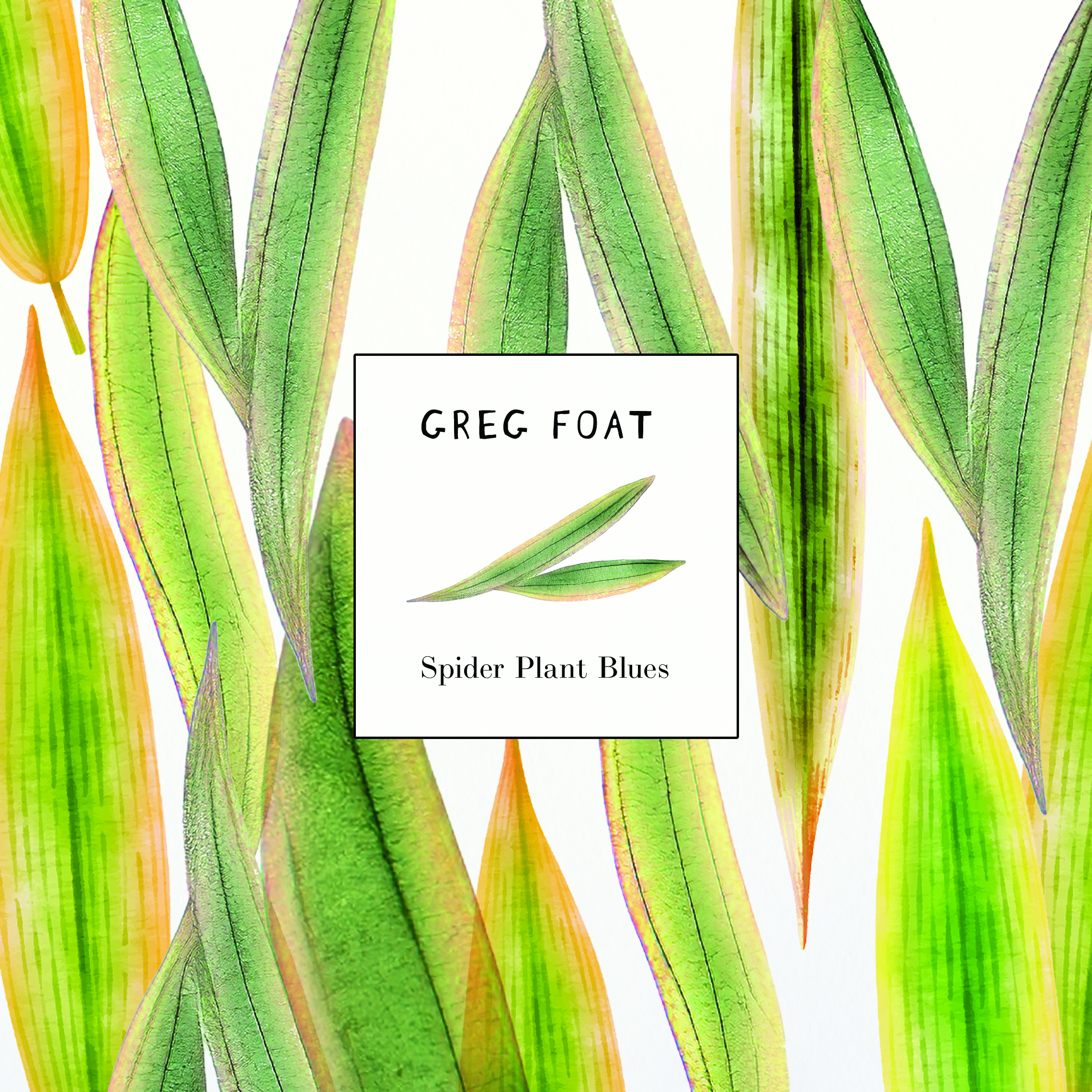 Greg Foat-Spider Plant Blues: A fusion jazz instrumental to mellow down the mood