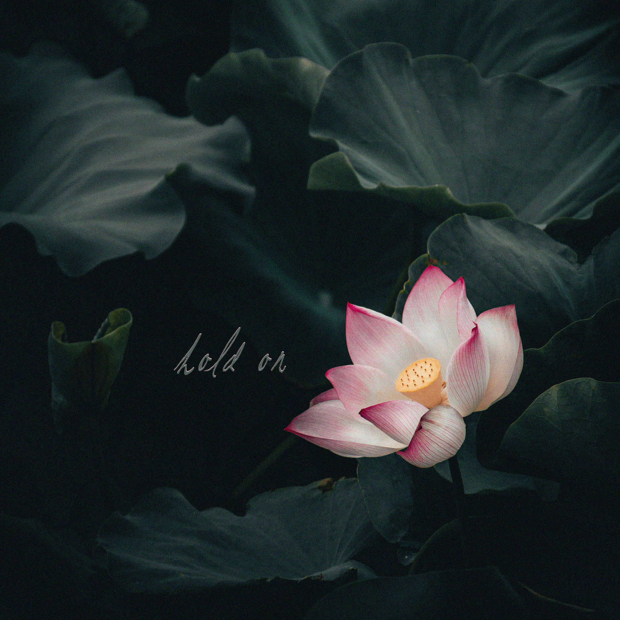 Minev’s recent single, “Hold On” is all set to become standout on the airwaves!