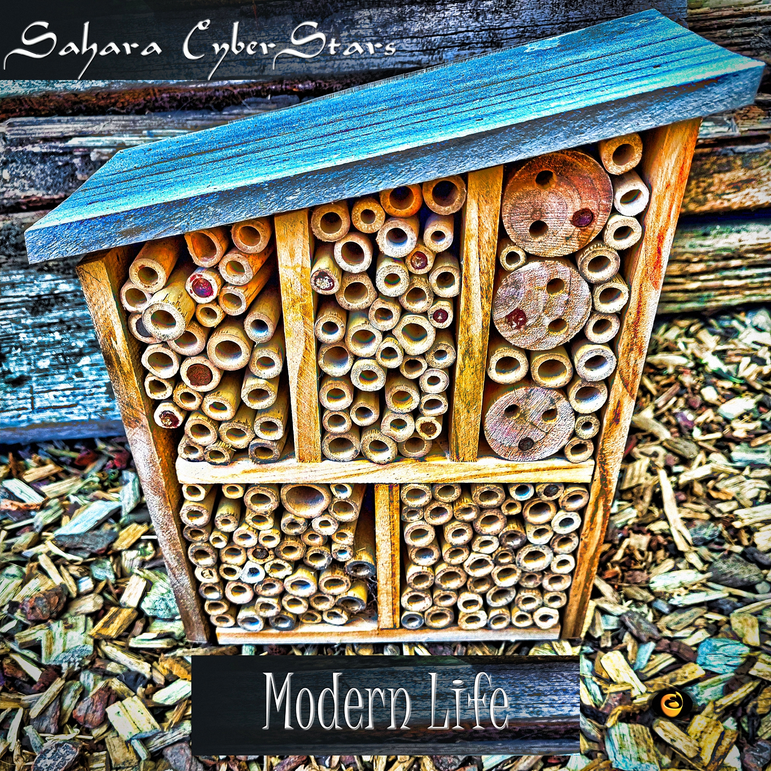 Sahara CyberStars’ “Modern Life” shines light on Modern Issues