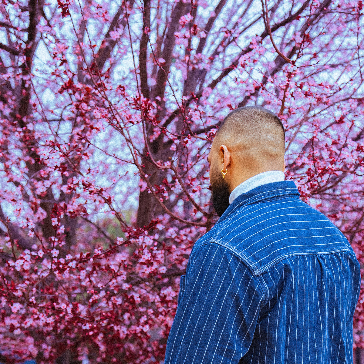 YDV’s recent single, “WHERE I STAY” meanders beautifully through life’s intricacies!