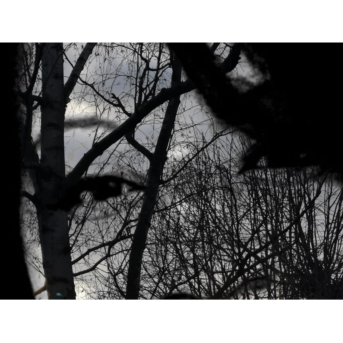 Fiona Amaka – Different: A song of love… Love that accepts the imperfections