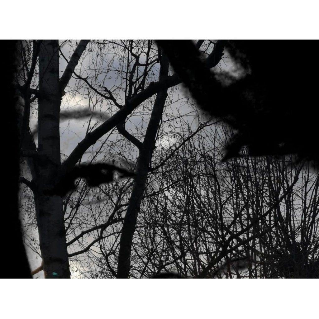 Fiona Amaka – Different: A song of love… Love that accepts the imperfections