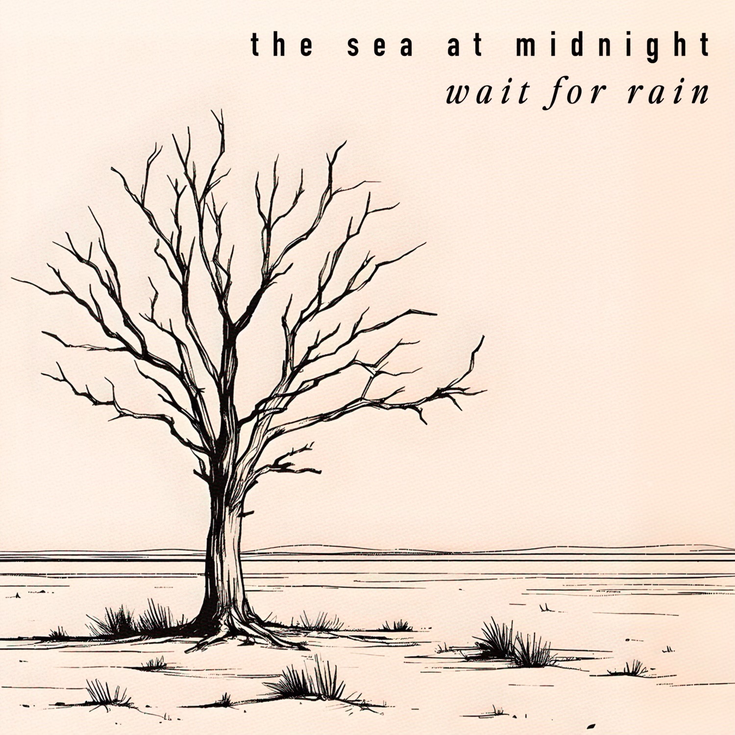 The Sea At Midnight – Wait For Rain: A unique, socially charged Rock Jam
