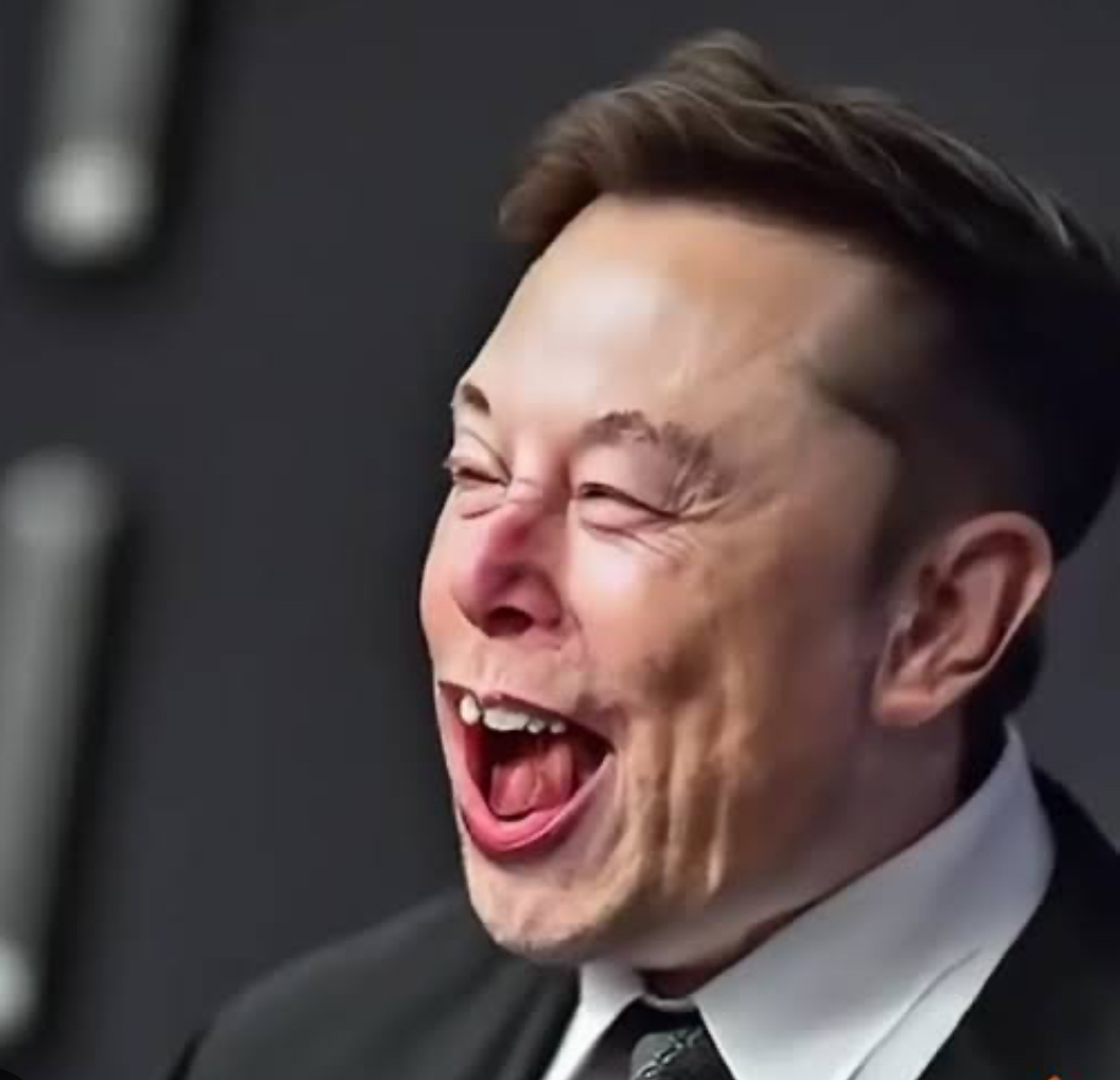 “A SONG FOR elon” by Clare Easdown Makes a Bold And Brave Statement.