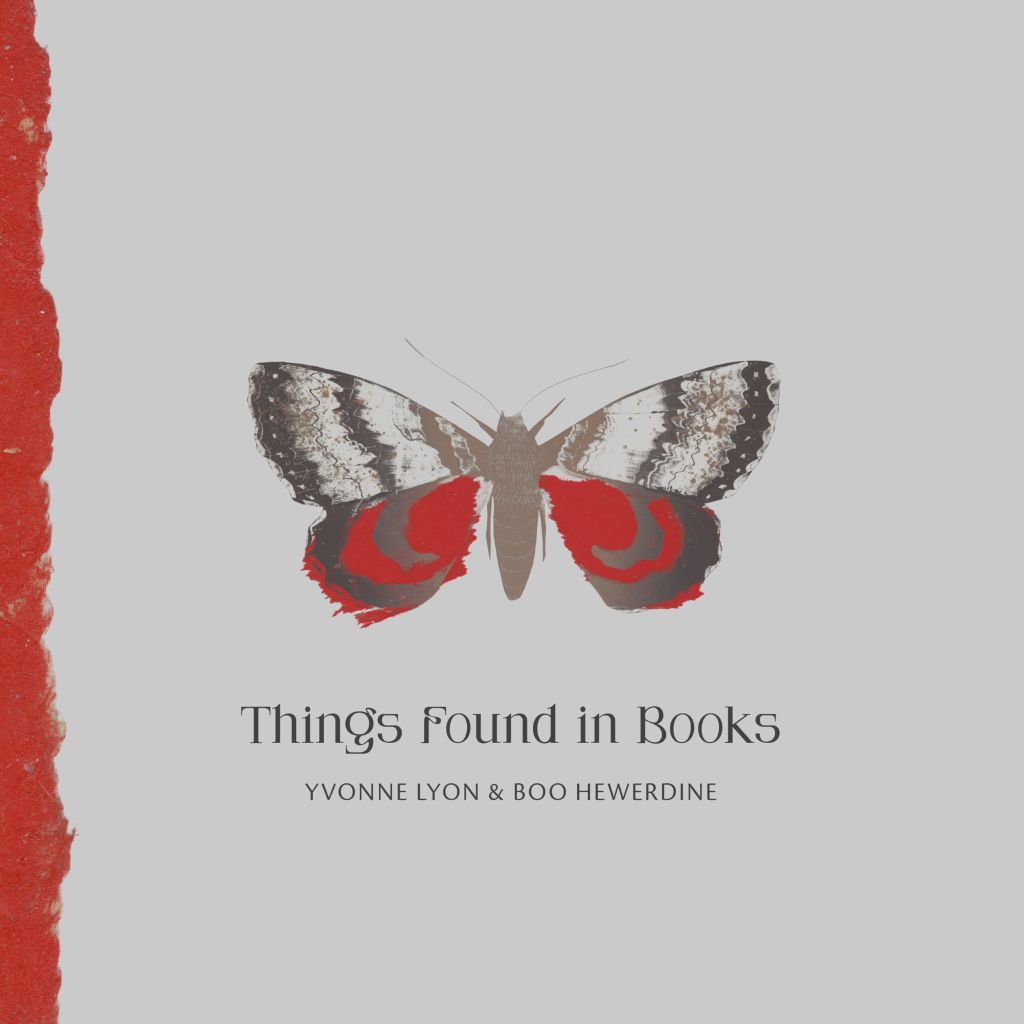 “Things You Find In Books” Reminds us of The Beauty in Simple Things.