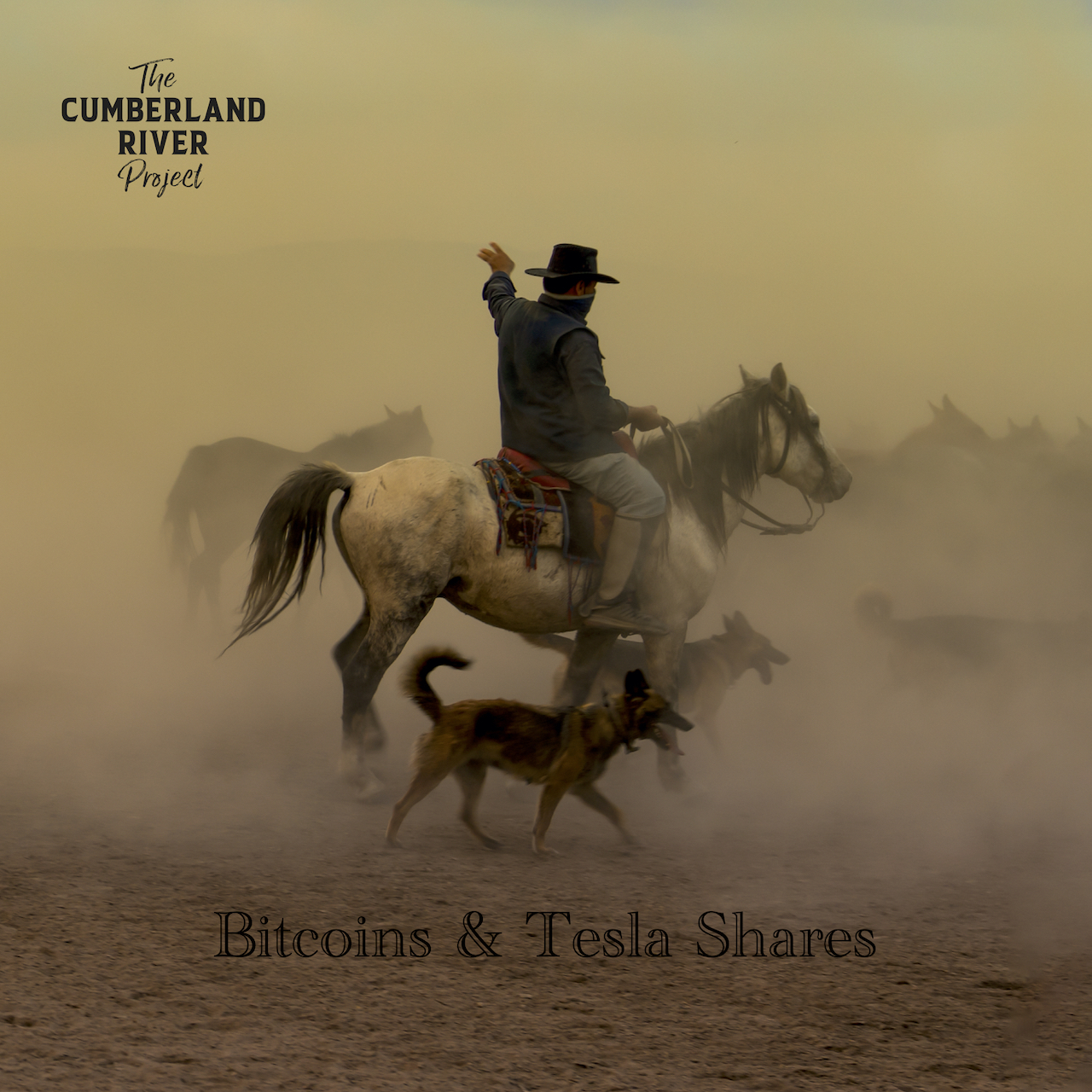 Frank Renfordt Reminds us What Really Matters With “Bitcoins & Tesla Shares”