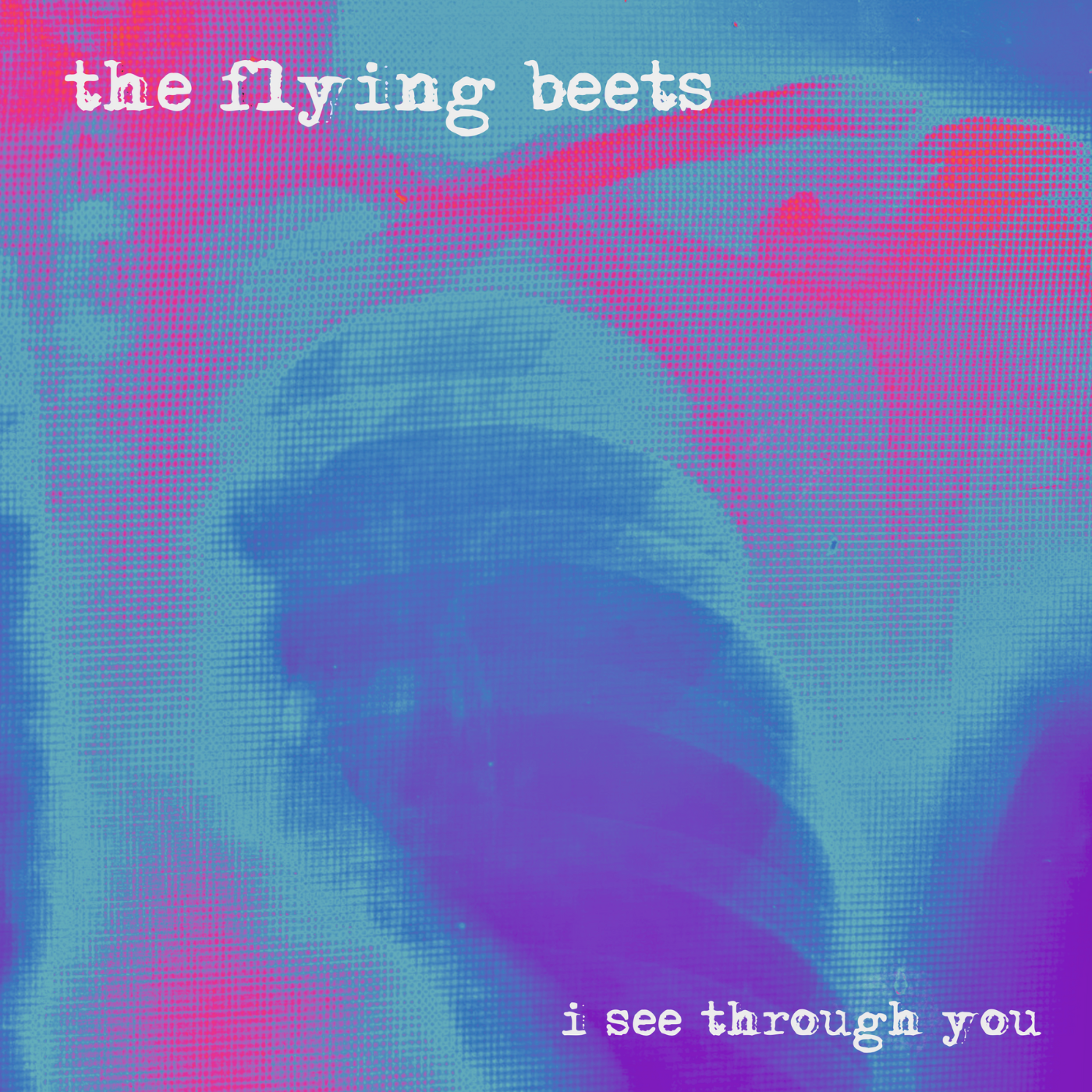 Welcome Back The Rich Sounds of Old-school Rock With The Flying Beets.