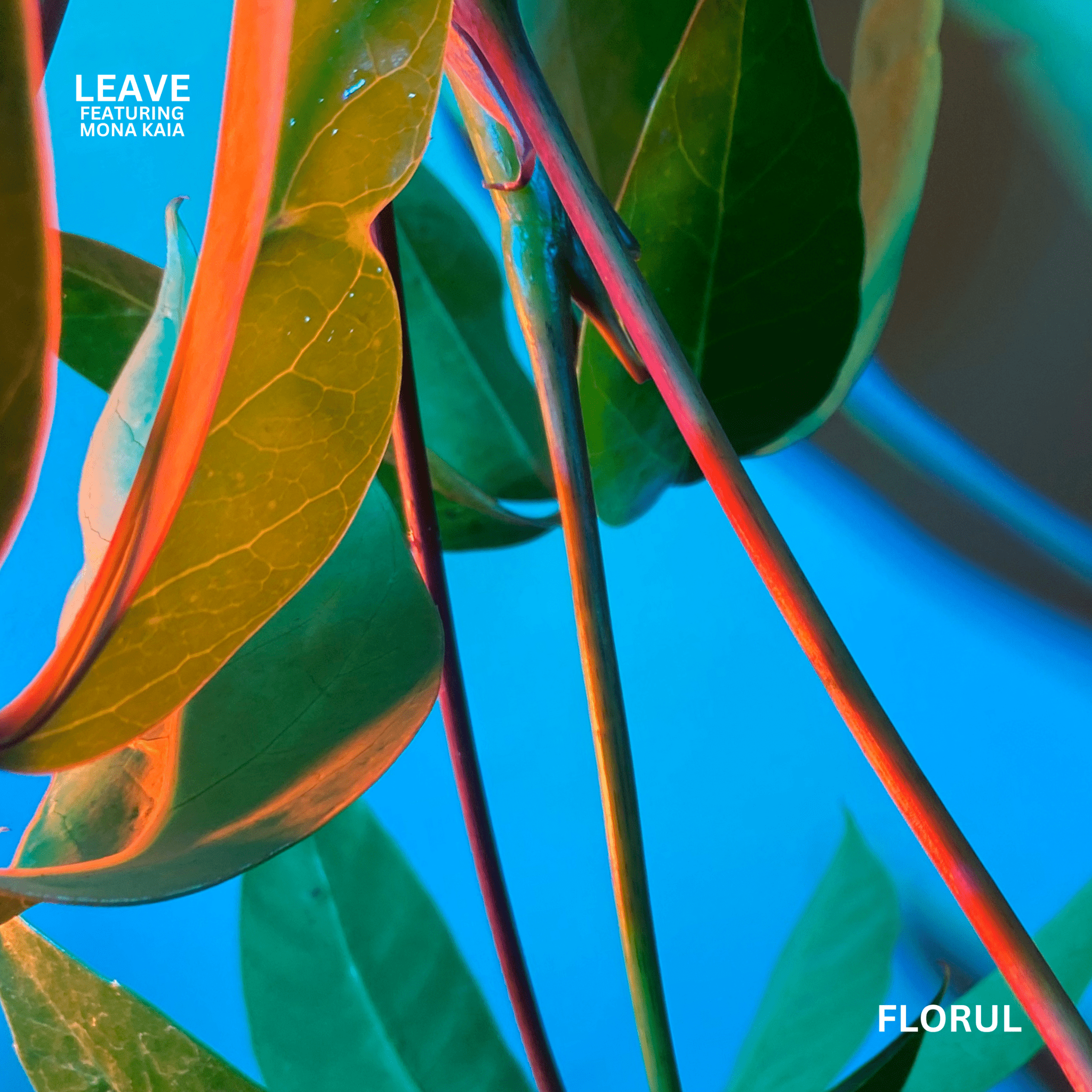 “Leave” by FLORUL is a Sonic Evolution.