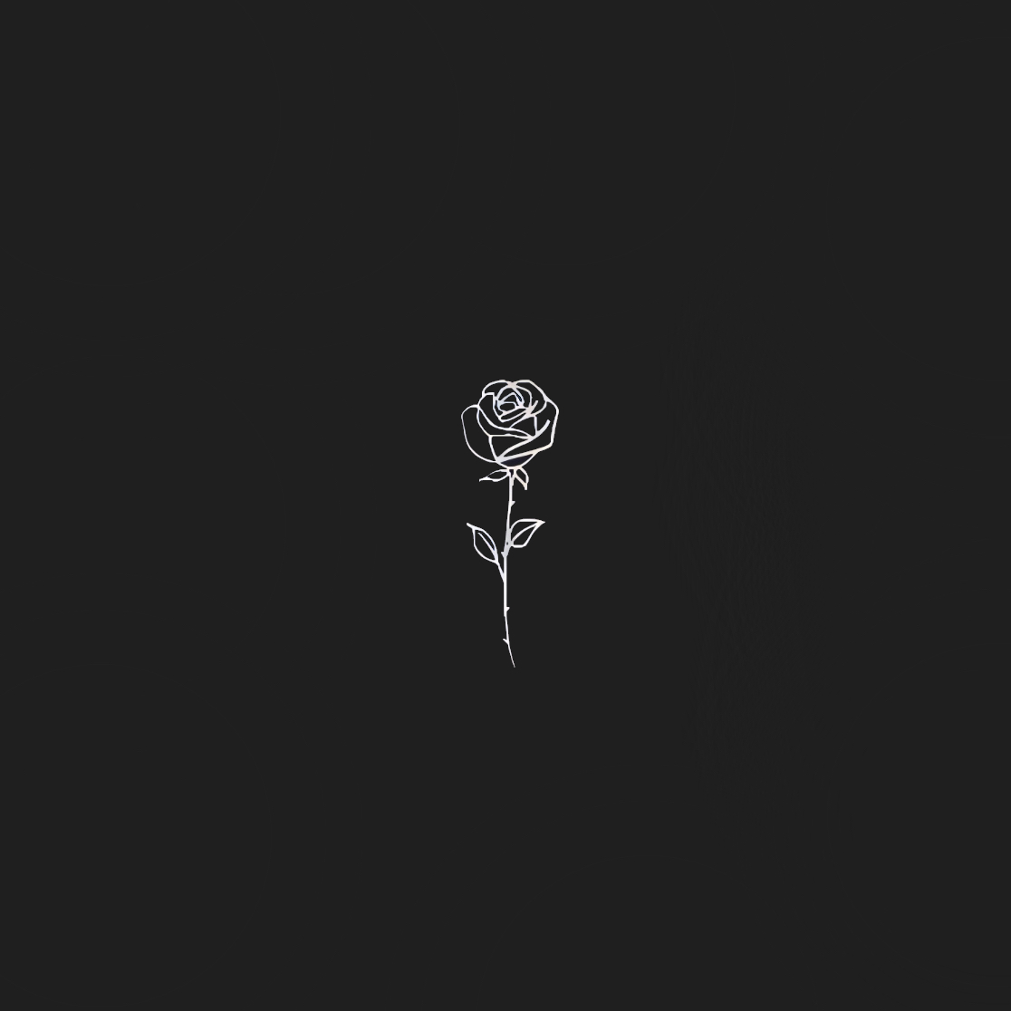 Get Immersed in an Atmospheric Soundscape With MVX’s “know ya”.