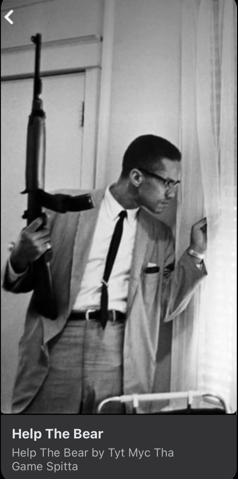 The Youthful Creates a Strong Impact With “Help The Bear”.