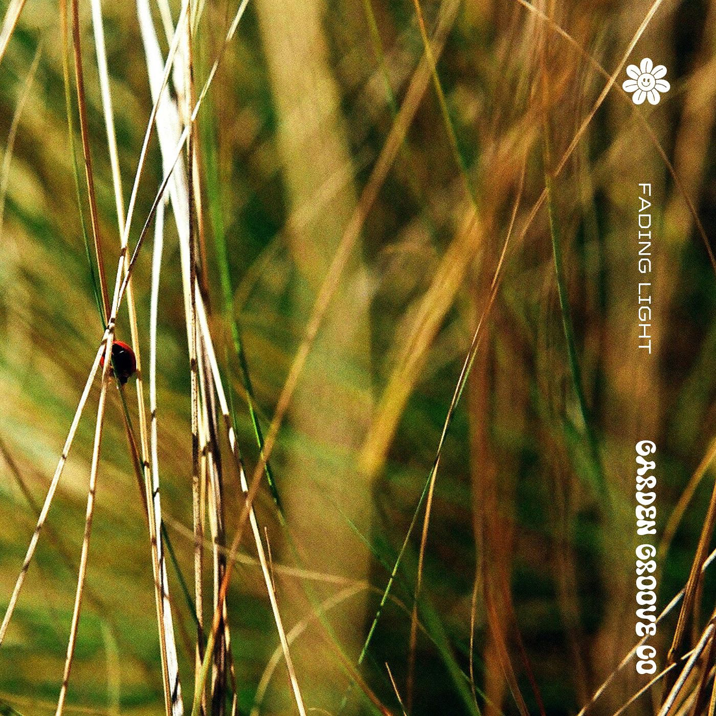 Garden Groove Collective’s “Fading Light” is For Those Who Struggle with the Bittersweet Loss of Love