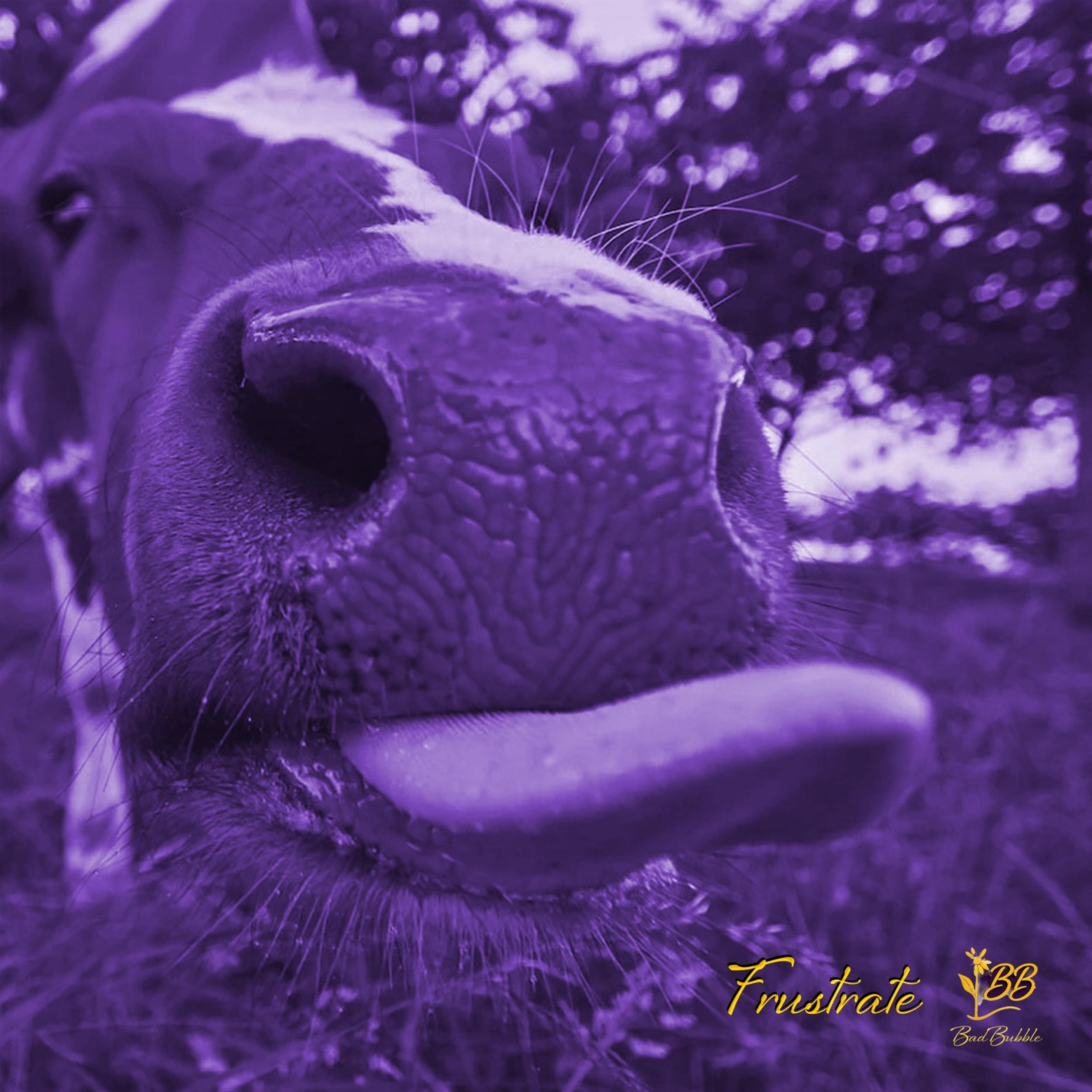 Cover art of the single "Frustrate" by Bad Bubble