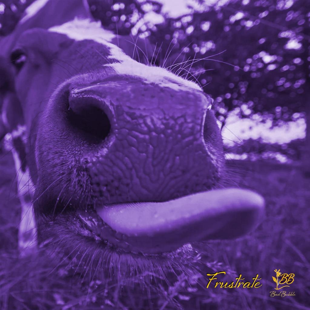 “Frustrate” by Bad Bubble is a Sonic Bliss.