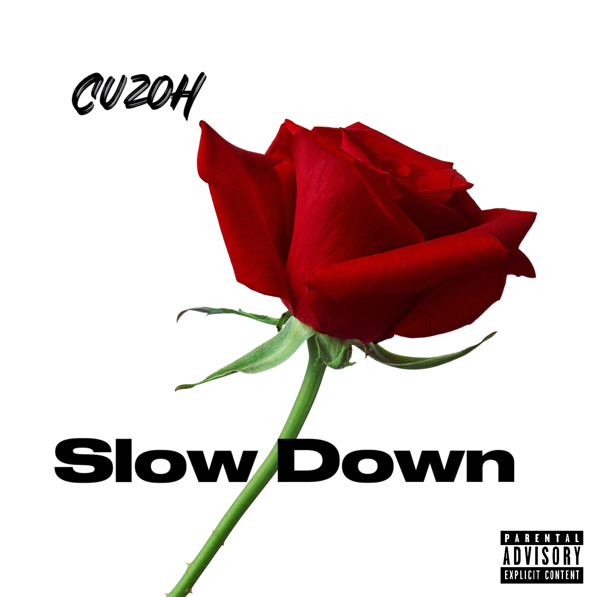“Slow Down” is a Revolutionary Piece of Art by Cuzoh.