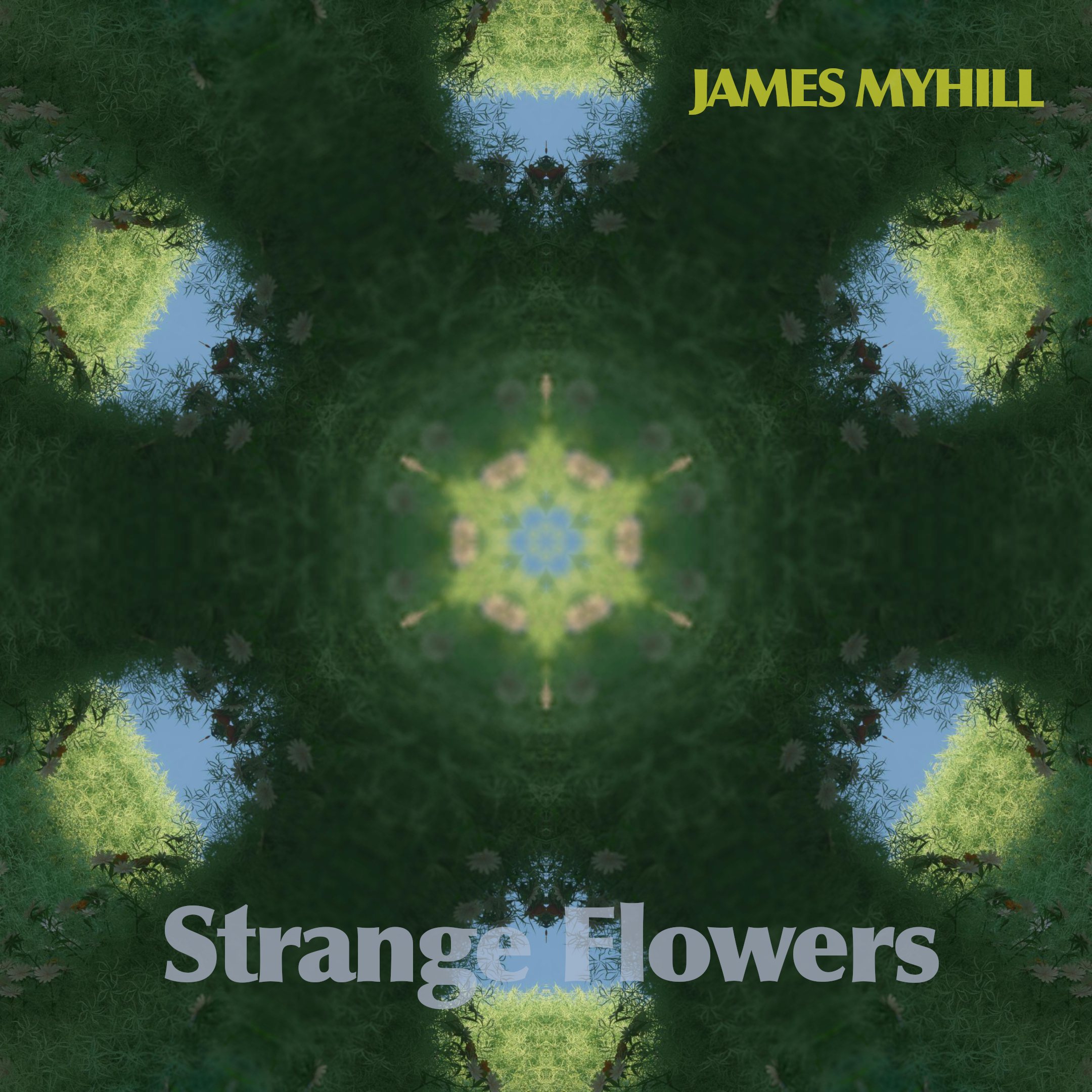 James Myhill Mesmerizes The Listeners With “Strange Flowers”.