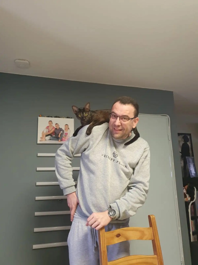 Man, Musician, Artist, Singer, Chair, Sweatshirt, Cat, Room, Wall, Grey, Ceiling, Song, EDM, Music