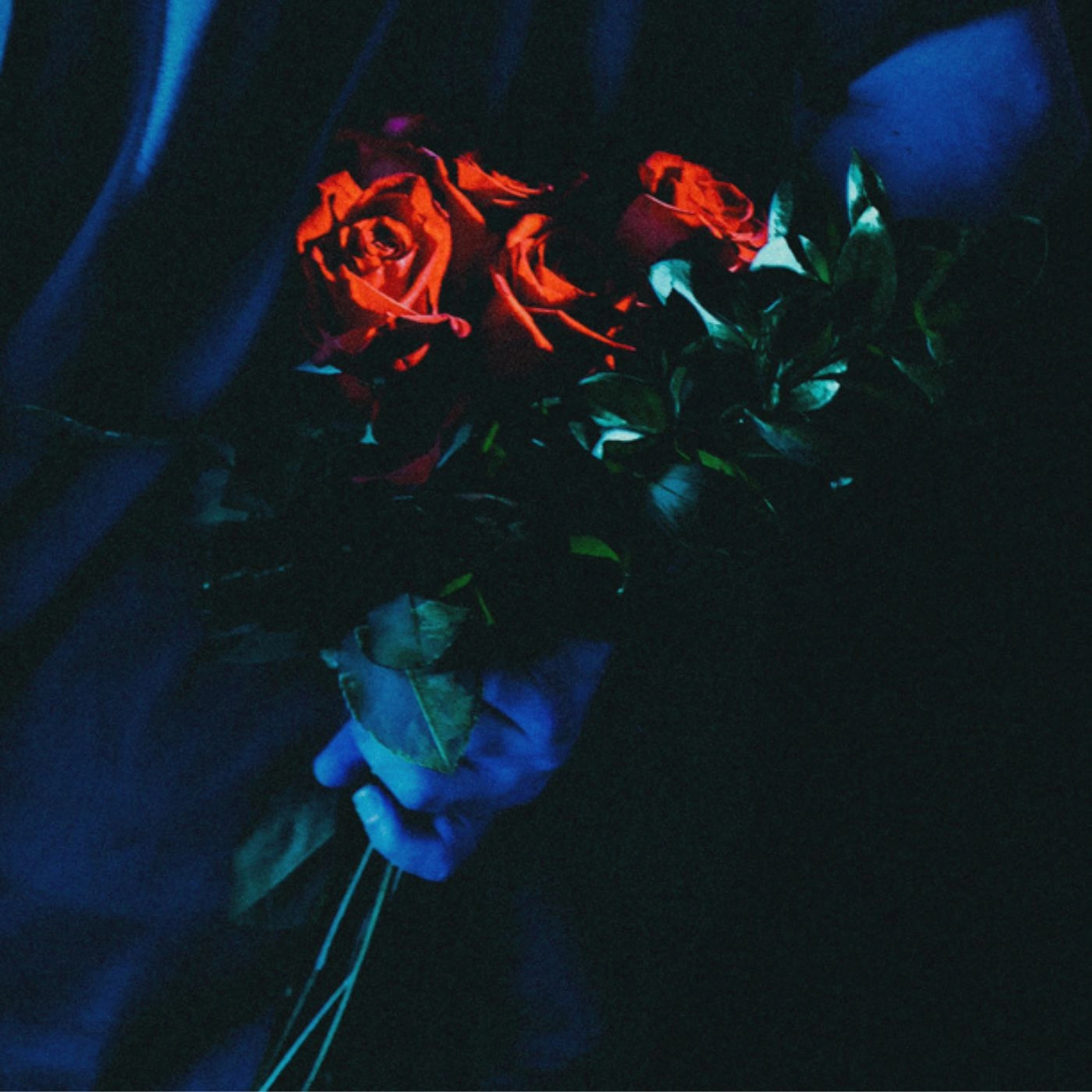 TYYE’s “whole thing” Expresses the Pain of Loving Someone Who Was Never Really Yours