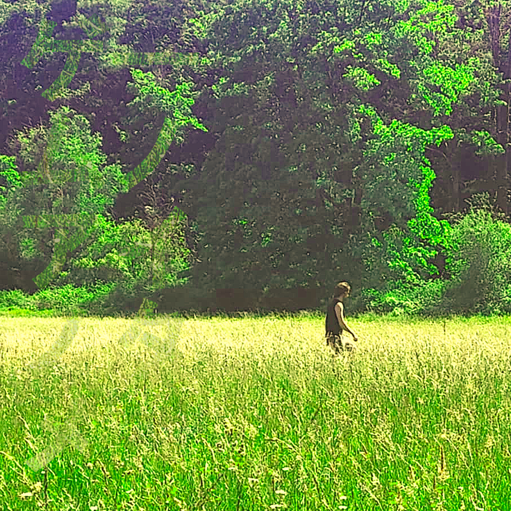 cameraman’s “xerox of a xerox” Confronts the Ache of Creative&nbsp;Envy