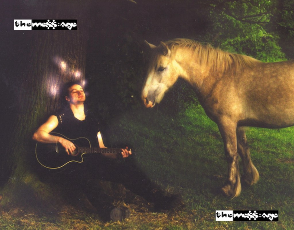 Man, Dreamy, Effect, Horse, Pony, Brown, Tree, Garden, Guitar, Vest, Rock, Black, Green, Grass, Song, Band, Music, Christian, Artist, Bassist, Drummer, Singer