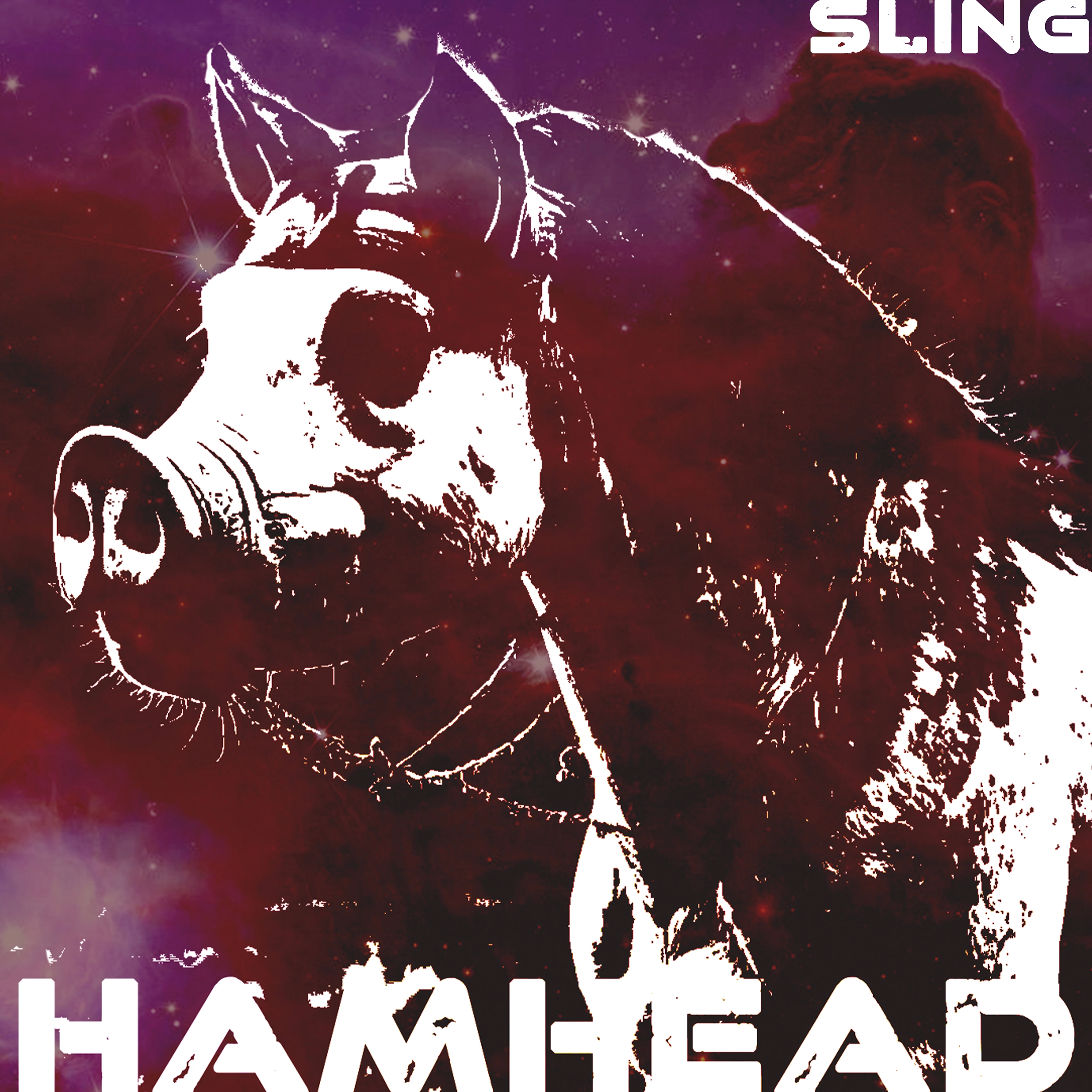 HamHead’s “Sling” Proves Internet Jamming Is the Future of Rock