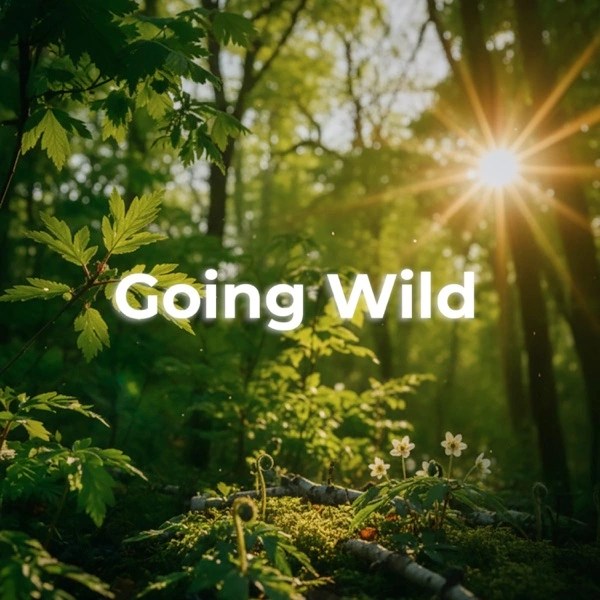 Sandro Ferro Delivers High-Energy Perfection with “Going&nbsp;Wild”