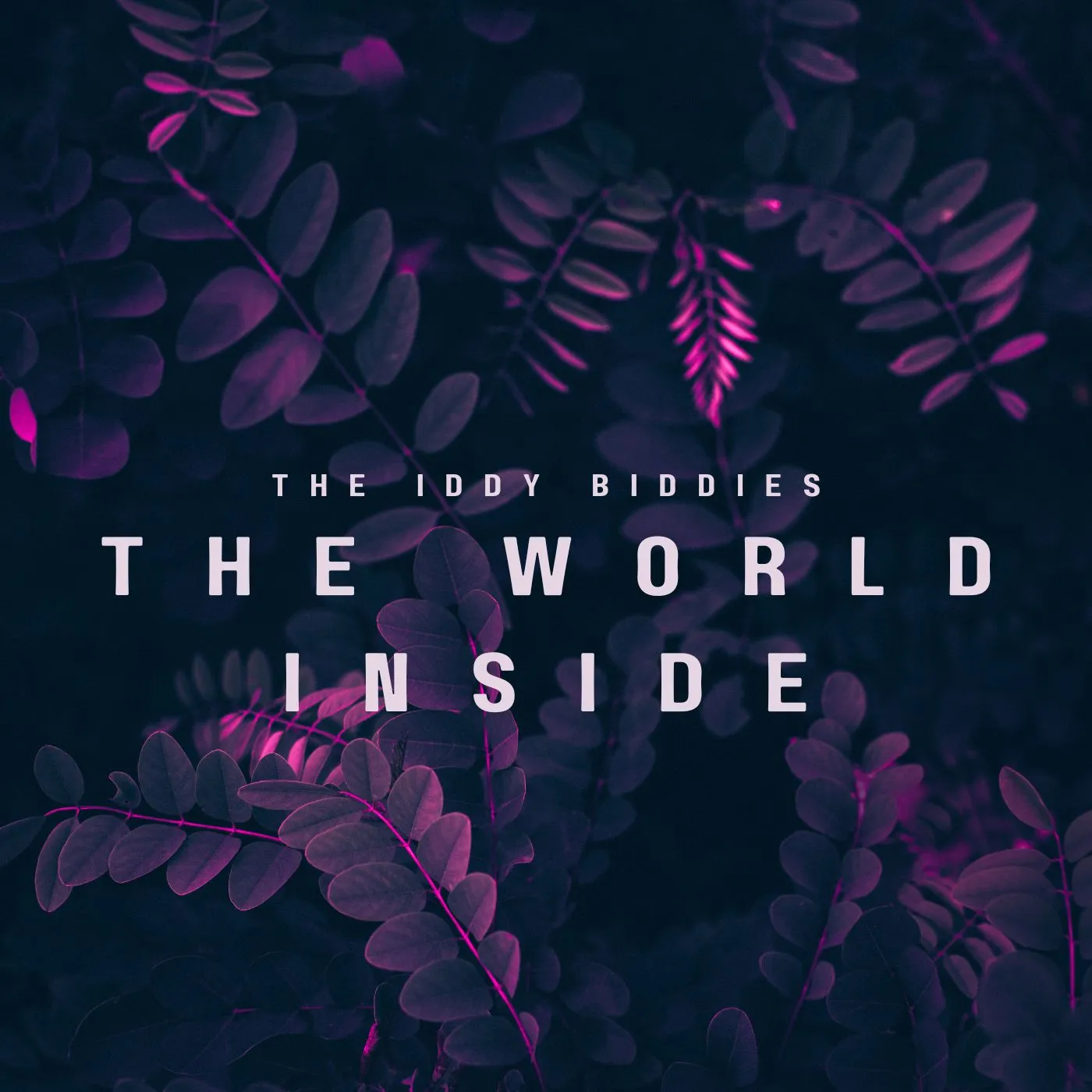 Get Mesmerized With The Iddy Biddies’ “The World Inside”.