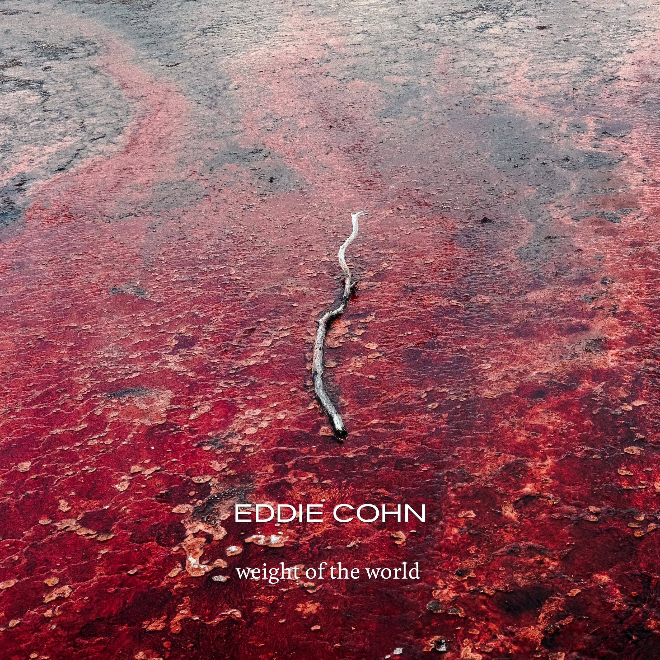 Eddie Cohn’s ‘Weight of the World’ is a Refreshing Food for Thought for your Overconsuming Brain!