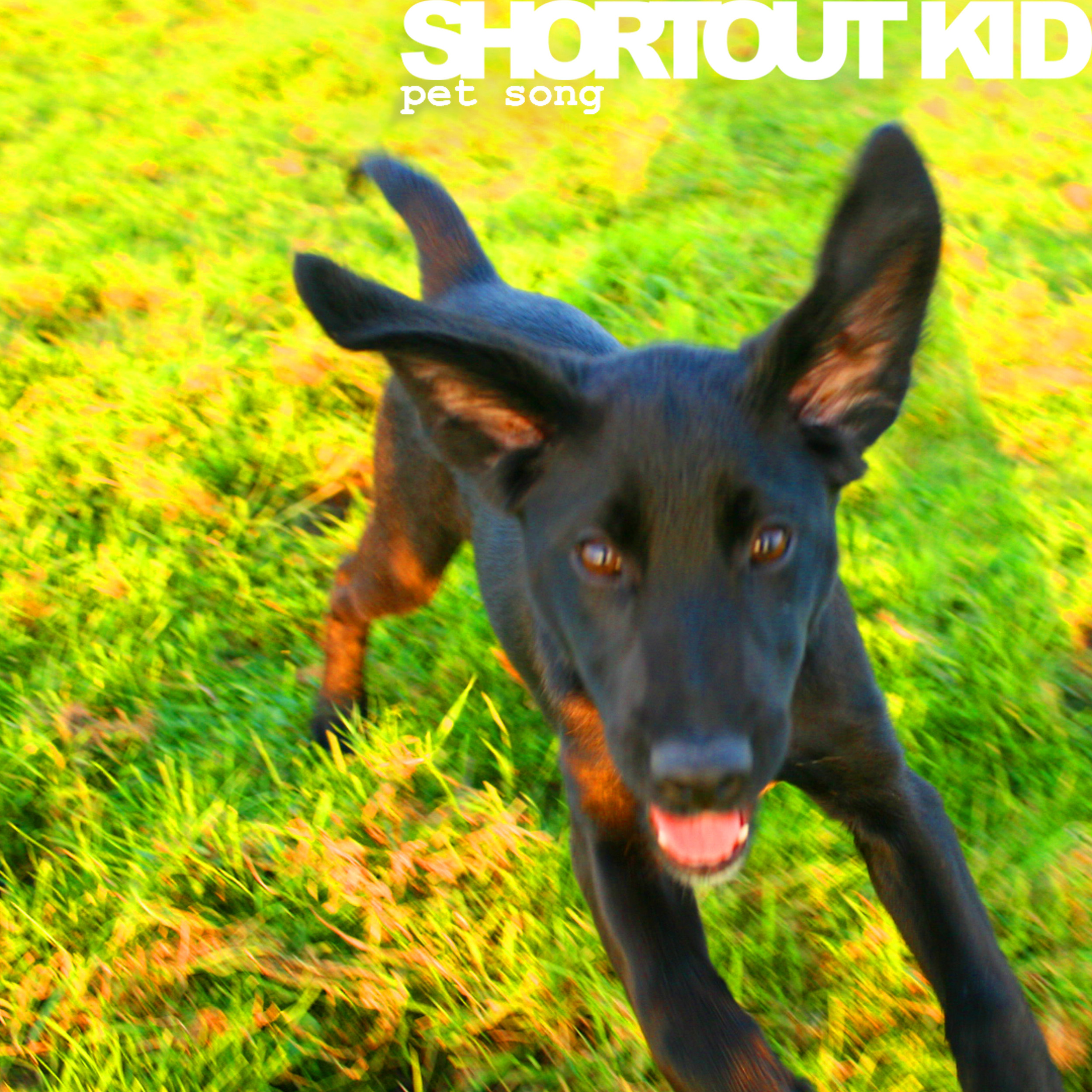 Miss Retro Punk Energy in Modern Rock? With Shortout Kid’s ‘Pet Song’, we say ‘Look No Further!’